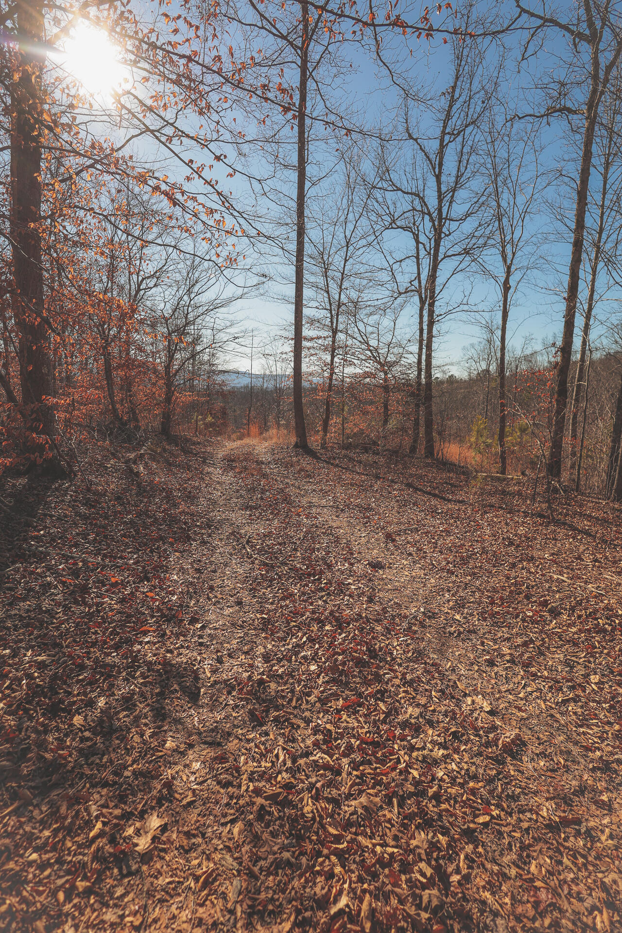 3229 Old State Highway 28 Dunlap, TN 37327 - Photo 30 of 92 26