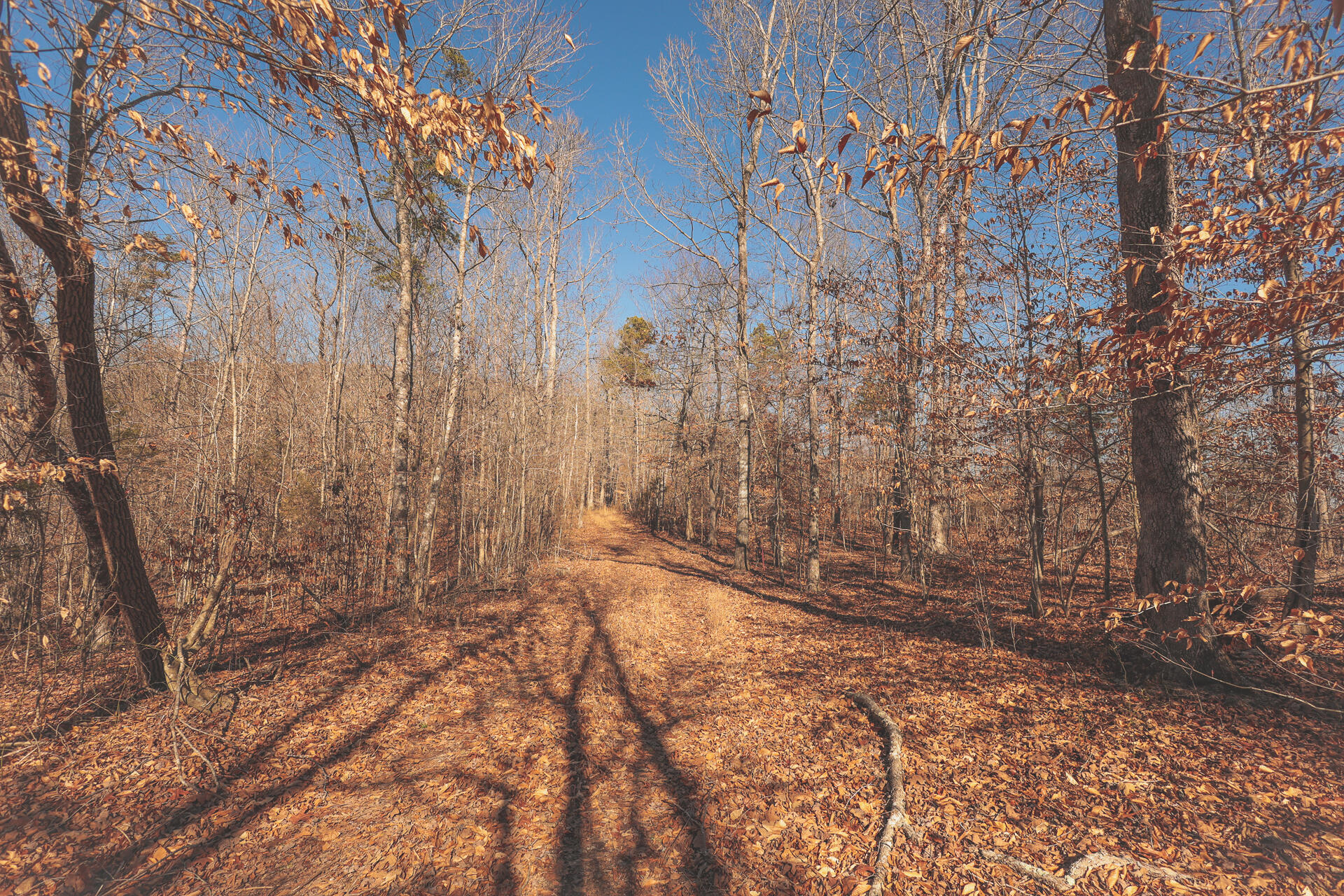 3229 Old State Highway 28 Dunlap, TN 37327 - Photo 32 of 92 28