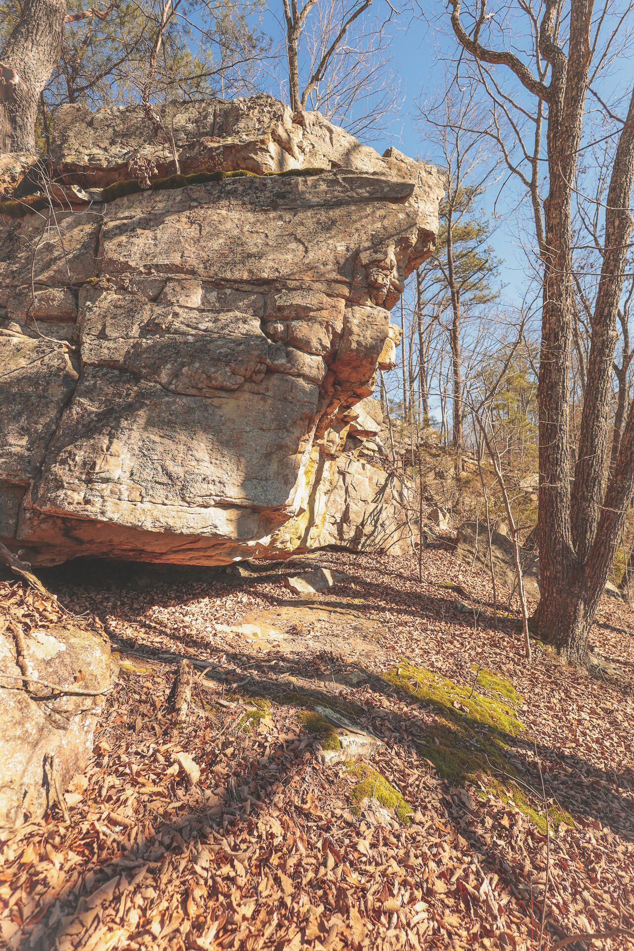 3229 Old State Highway 28 Dunlap, TN 37327 - Photo 38 of 92 34
