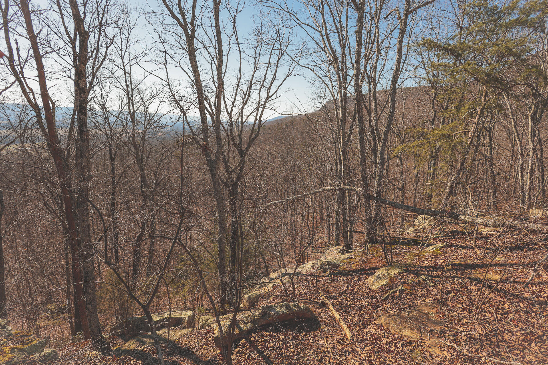 3229 Old State Highway 28 Dunlap, TN 37327 - Photo 40 of 92 36