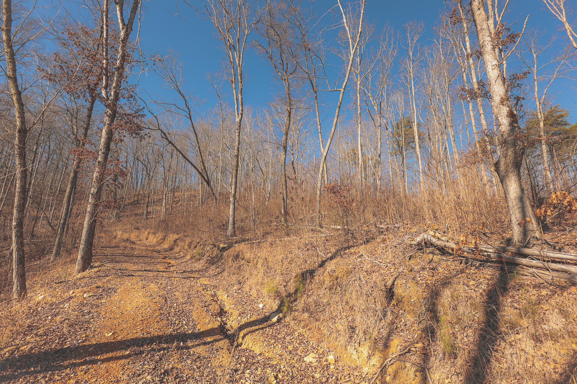 3229 Old State Highway 28 Dunlap, TN 37327 - Photo 42 of 92 38