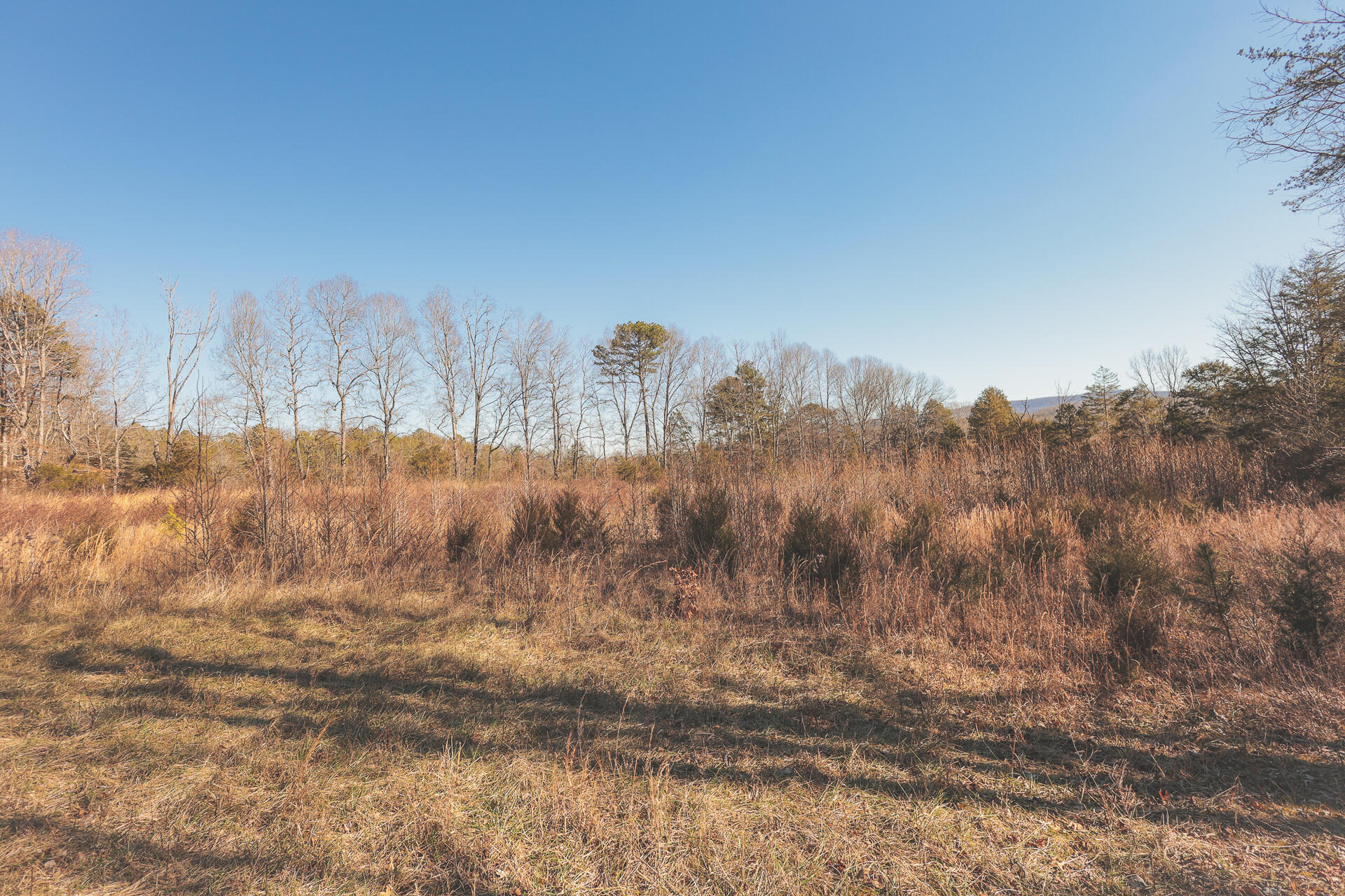 3229 Old State Highway 28 Dunlap, TN 37327 - Photo 43 of 92 39