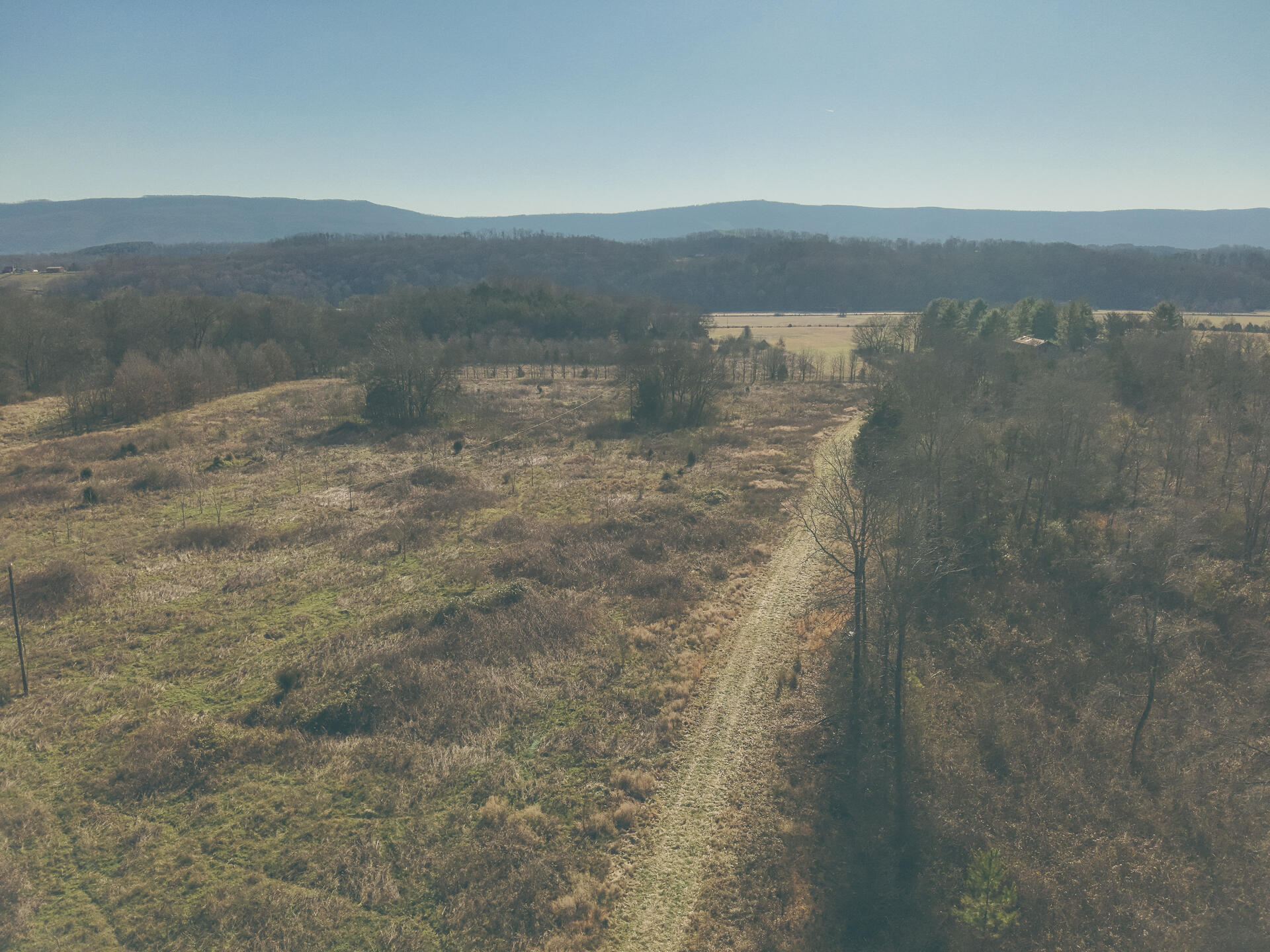 3229 Old State Highway 28 Dunlap, TN 37327 - Photo 45 of 92 41