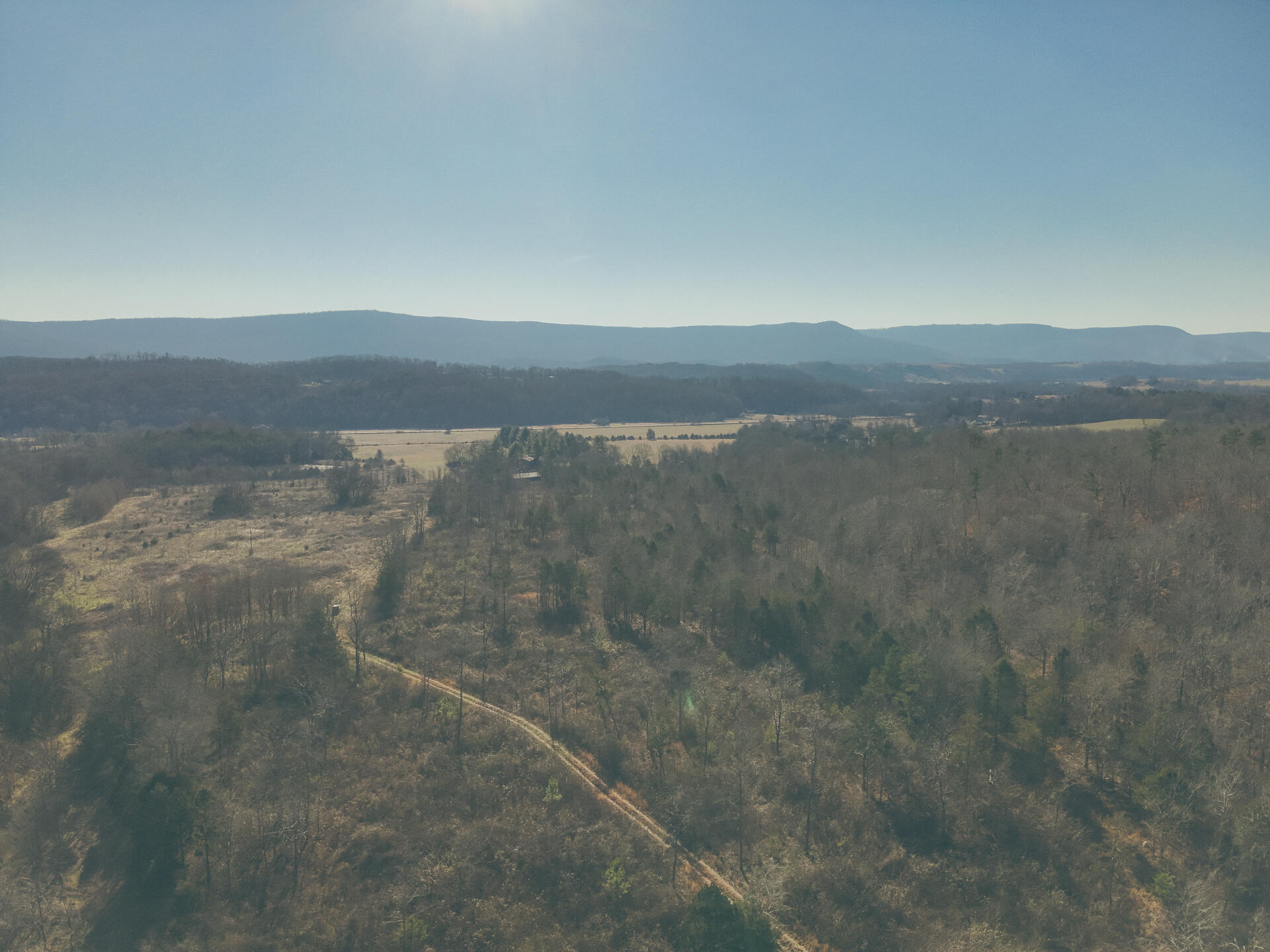3229 Old State Highway 28 Dunlap, TN 37327 - Photo 46 of 92 42