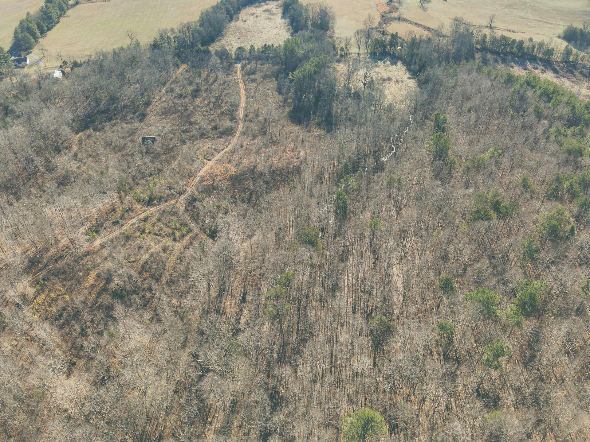 3229 Old State Highway 28 Dunlap, TN 37327 - Photo 50 of 92 46