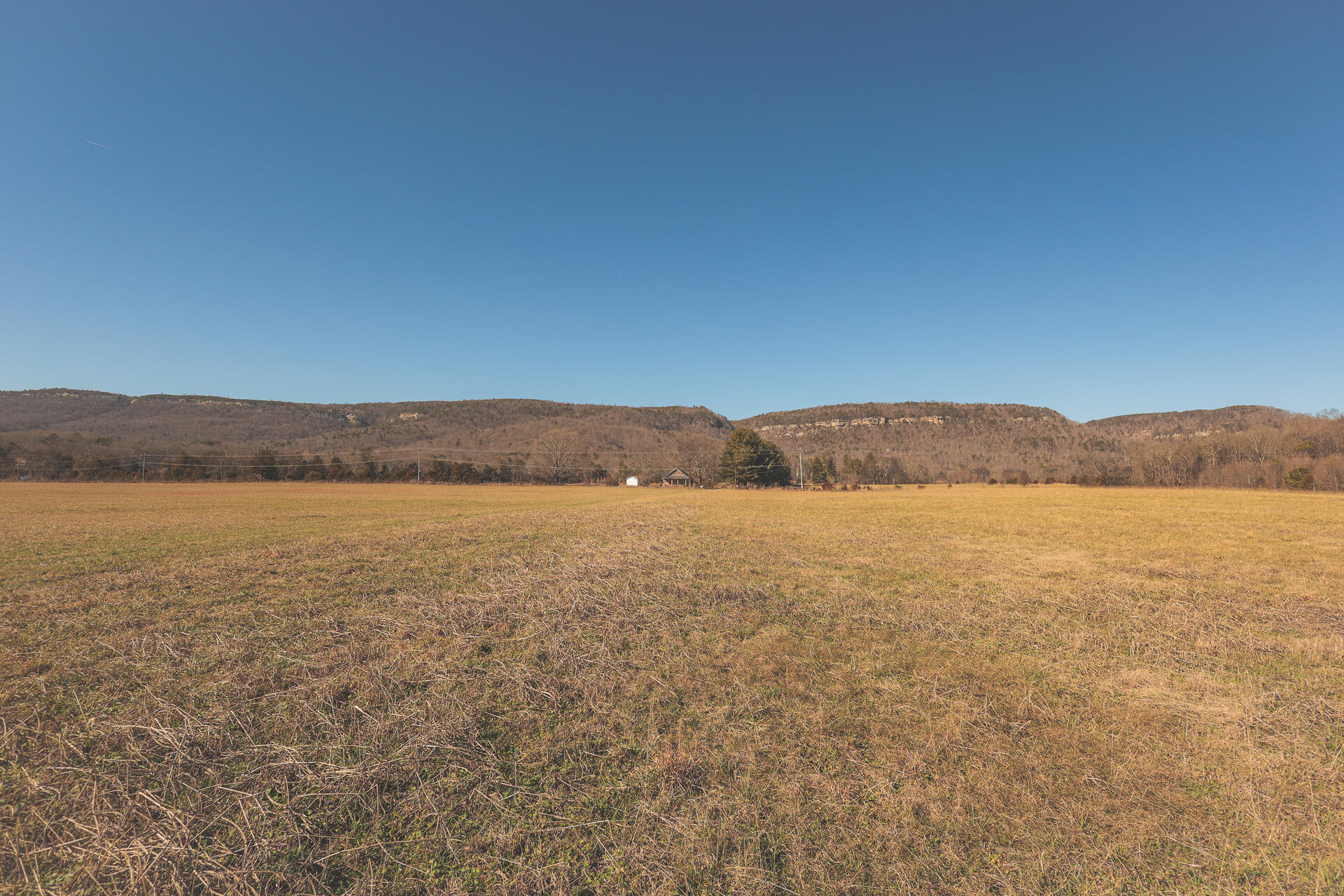 3229 Old State Highway 28 Dunlap, TN 37327 - Photo 57 of 92 53