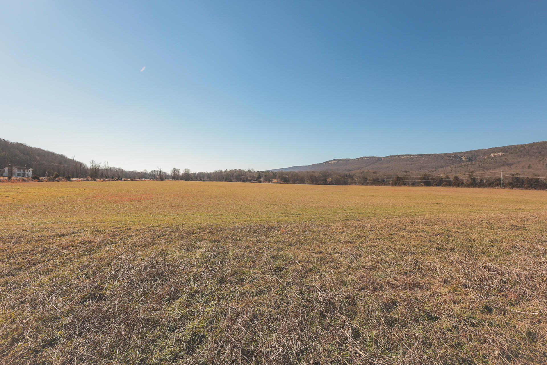 3229 Old State Highway 28 Dunlap, TN 37327 - Photo 58 of 92 54