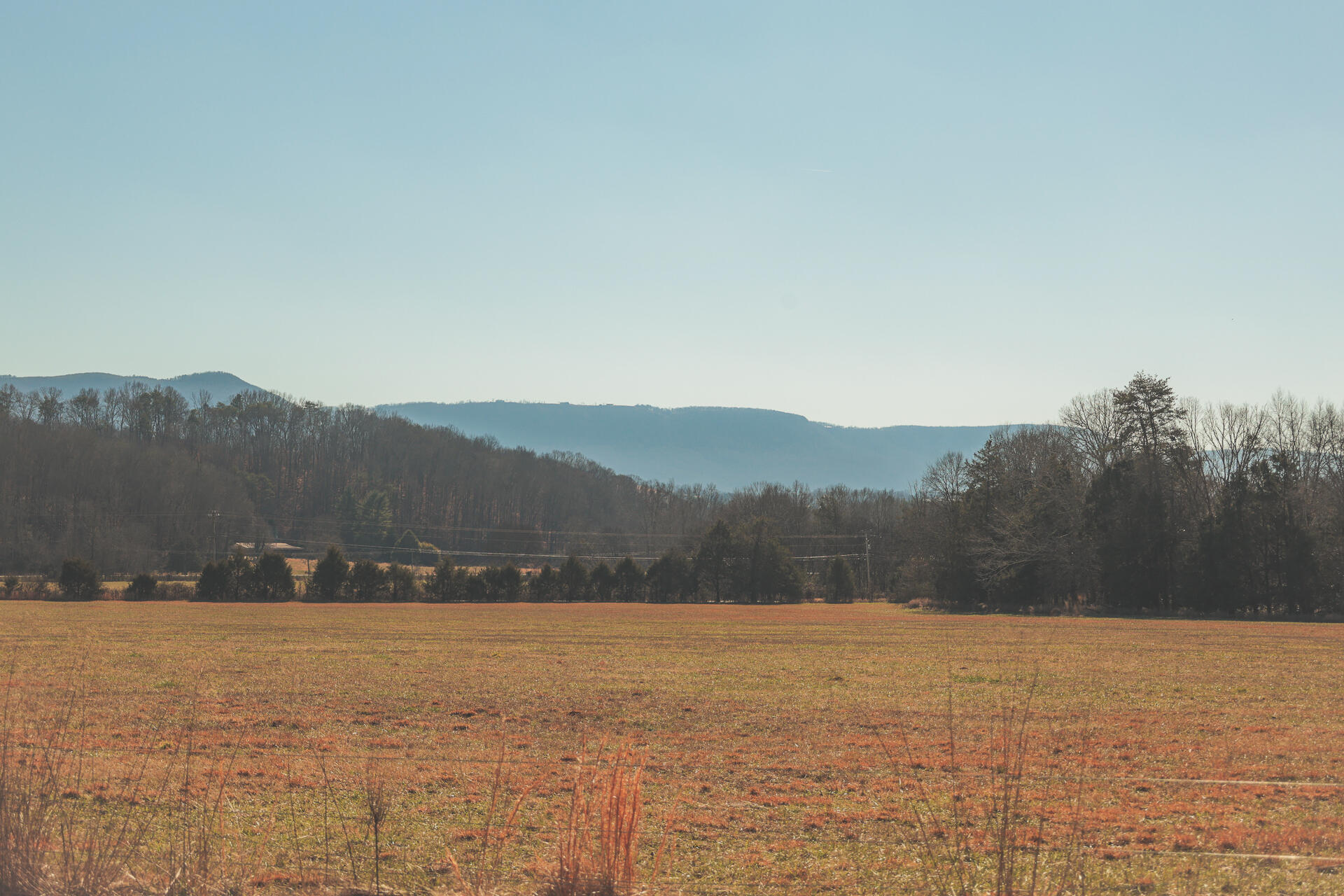 3229 Old State Highway 28 Dunlap, TN 37327 - Photo 70 of 92 66
