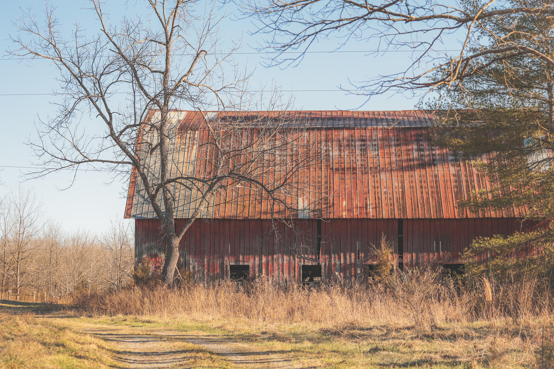 3229 Old State Highway 28 Dunlap, TN 37327 - Photo 7 of 92 2