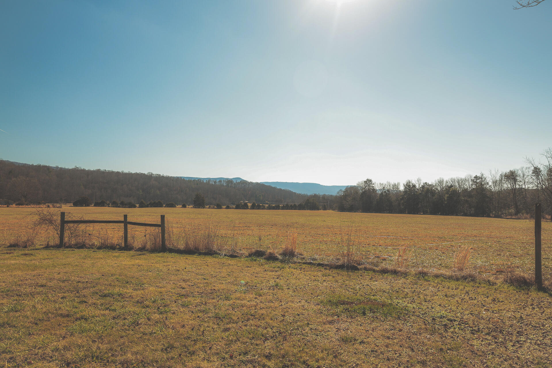 3229 Old State Highway 28 Dunlap, TN 37327 - Photo 71 of 92 67