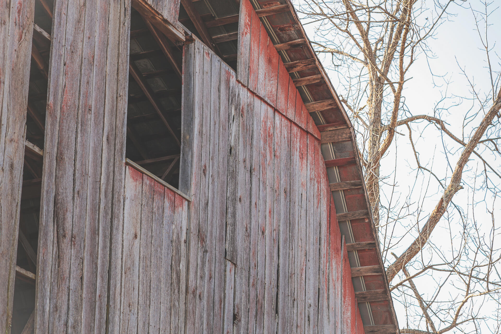 3229 Old State Highway 28 Dunlap, TN 37327 - Photo 8 of 92 3