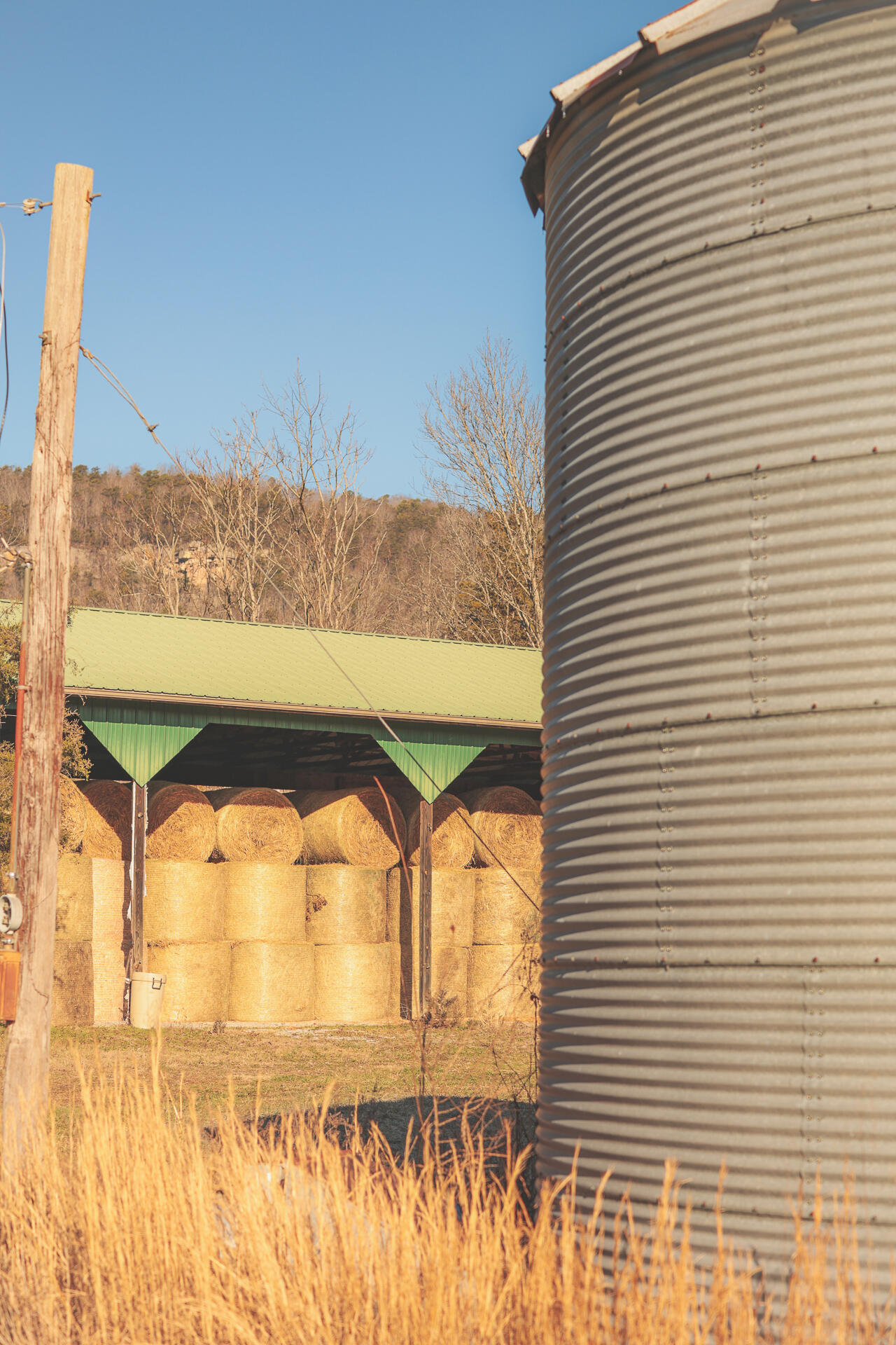 3229 Old State Highway 28 Dunlap, TN 37327 - Photo 81 of 92 77