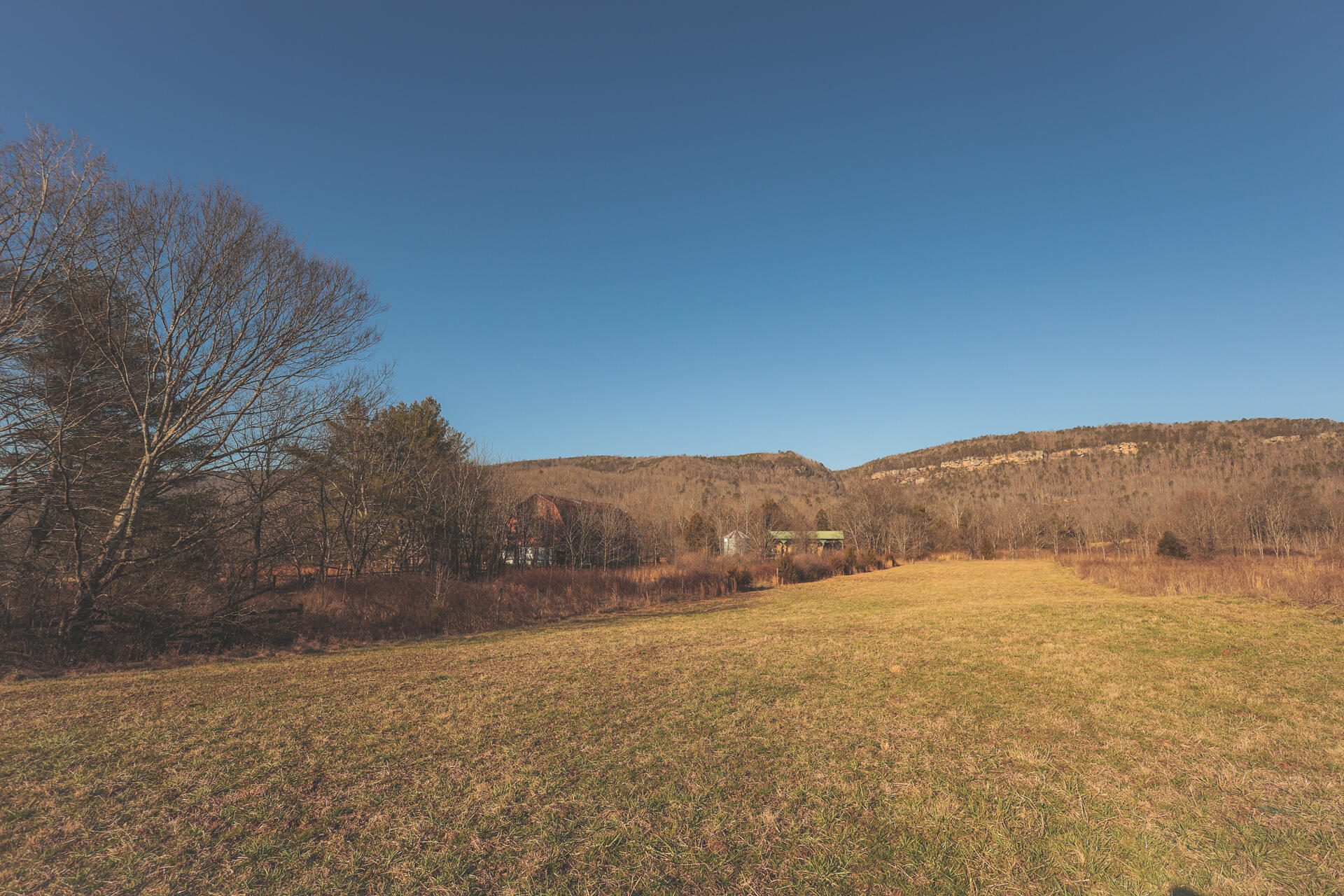 3229 Old State Highway 28 Dunlap, TN 37327 - Photo 83 of 92 79