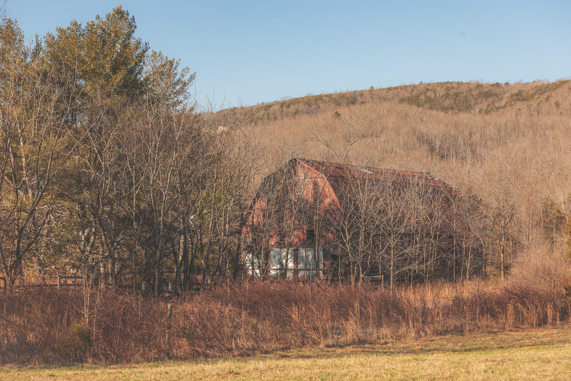3229 Old State Highway 28 Dunlap, TN 37327 - Photo 84 of 92 80