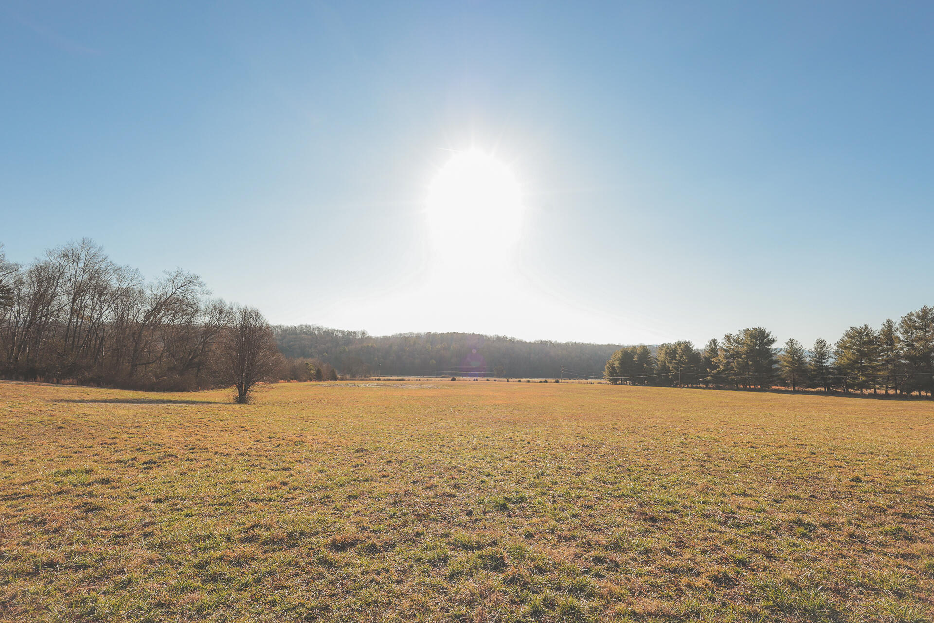 3229 Old State Highway 28 Dunlap, TN 37327 - Photo 85 of 92 81