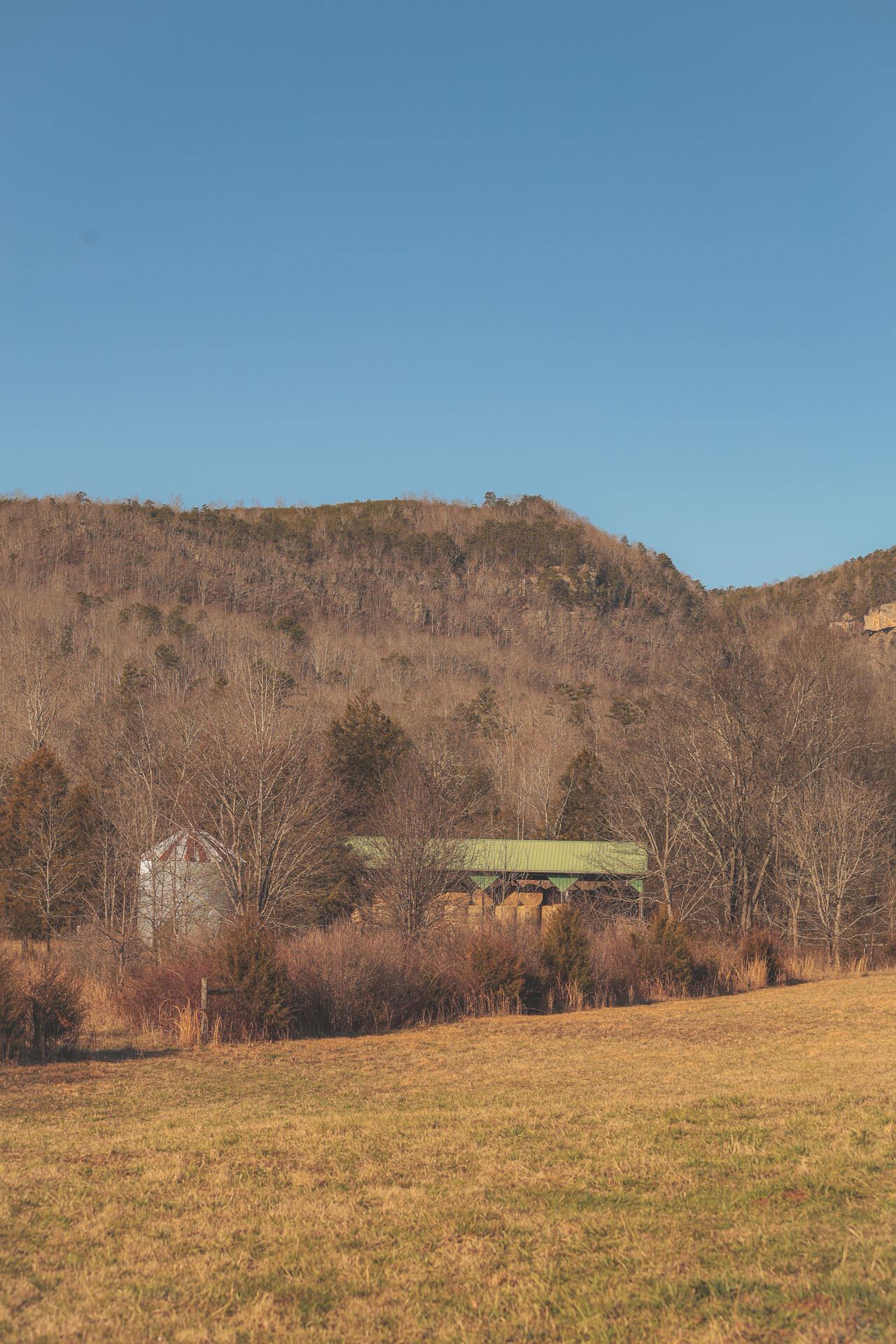 3229 Old State Highway 28 Dunlap, TN 37327 - Photo 86 of 92 82