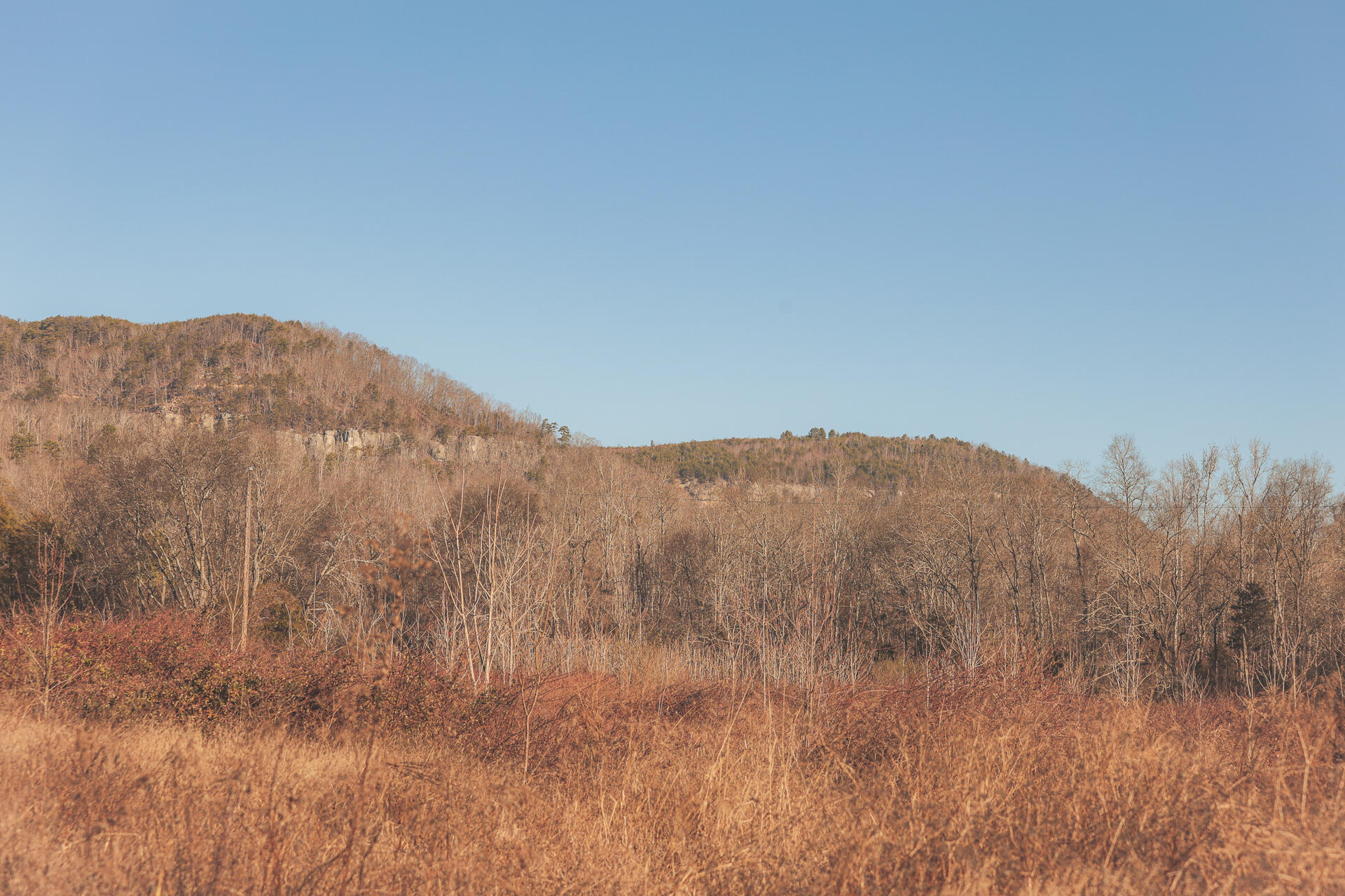 3229 Old State Highway 28 Dunlap, TN 37327 - Photo 88 of 92 84