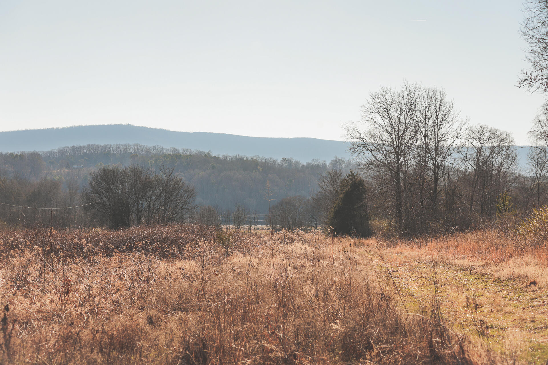 3229 Old State Highway 28 Dunlap, TN 37327 - Photo 89 of 92 85