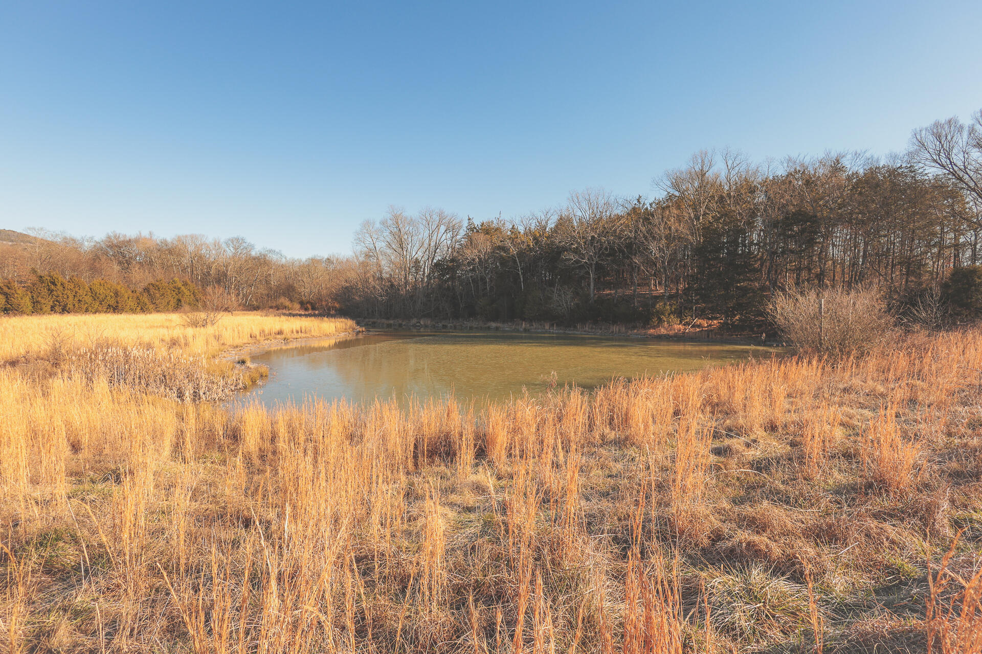 3229 Old State Highway 28 Dunlap, TN 37327 - Photo 9 of 92 4