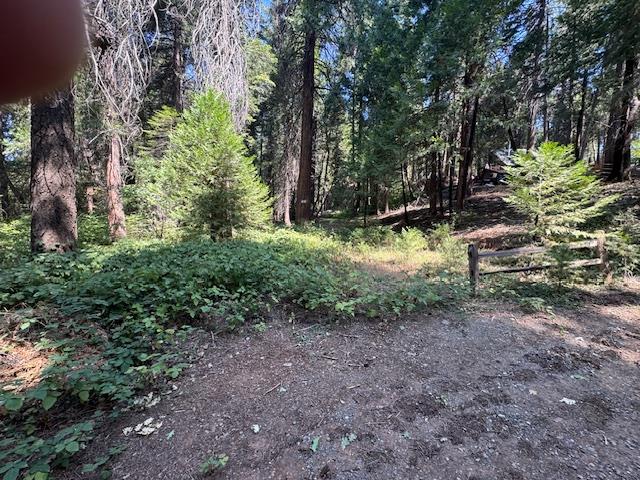 0 Little John Way Pollock Pines, CA 95726 - Photo 2 of 5 a view of a yard with plants and trees