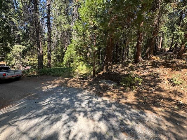 0 Little John Way Pollock Pines, CA 95726 - Photo 4 of 5 a view of street with parked cars