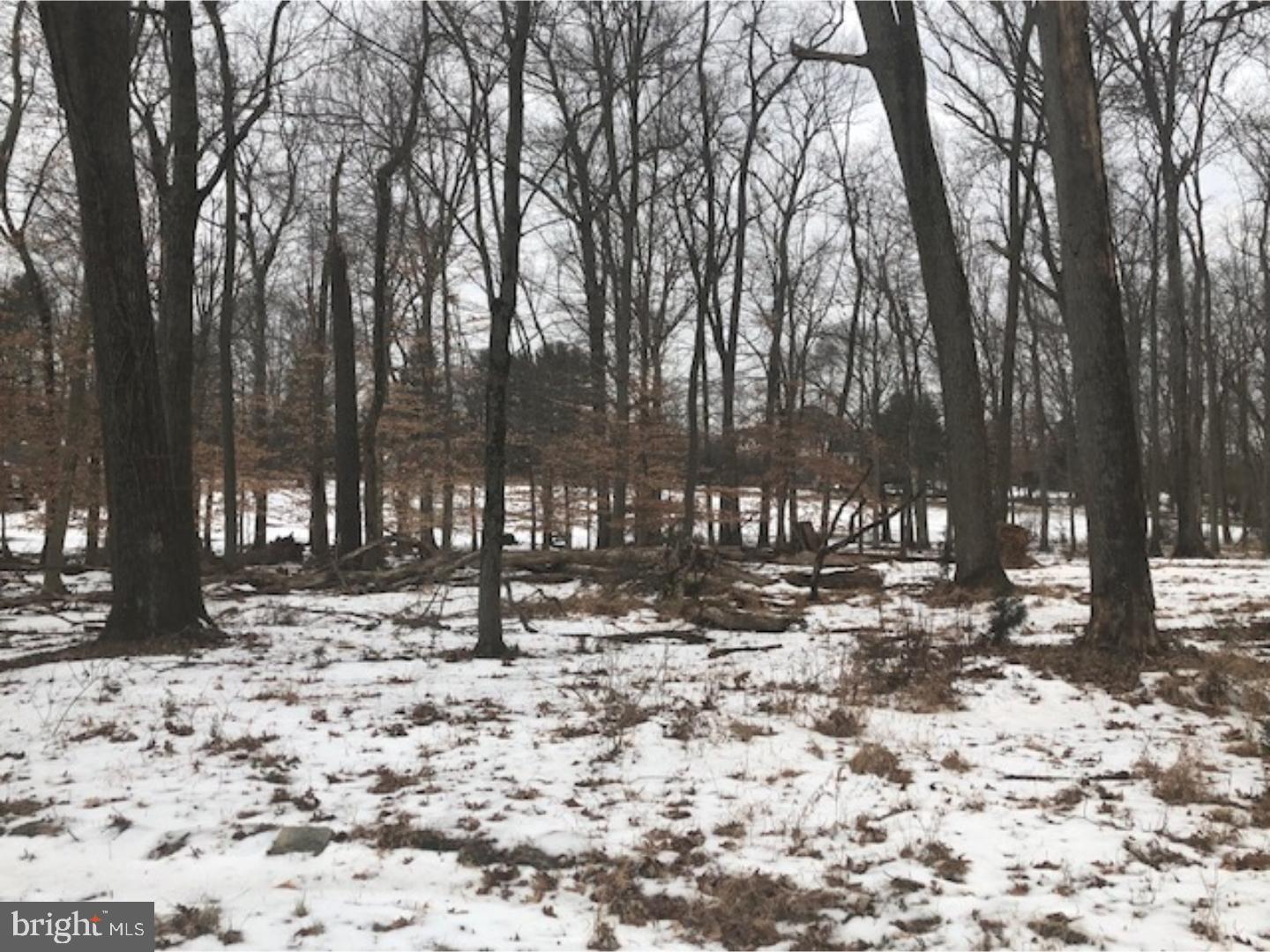 23 Elm Ridge Road Pennington, NJ 08534 - Photo 16 of 20 Back Yard