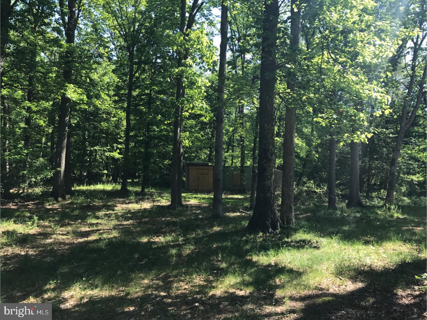 23 Elm Ridge Road Pennington, NJ 08534 - Photo 18 of 20 Back Yard