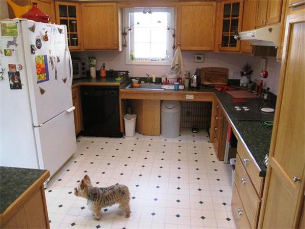 814 Pine Meadow Road Northfield, MA 01360 - Photo 14 of 30 Gallery Image 14