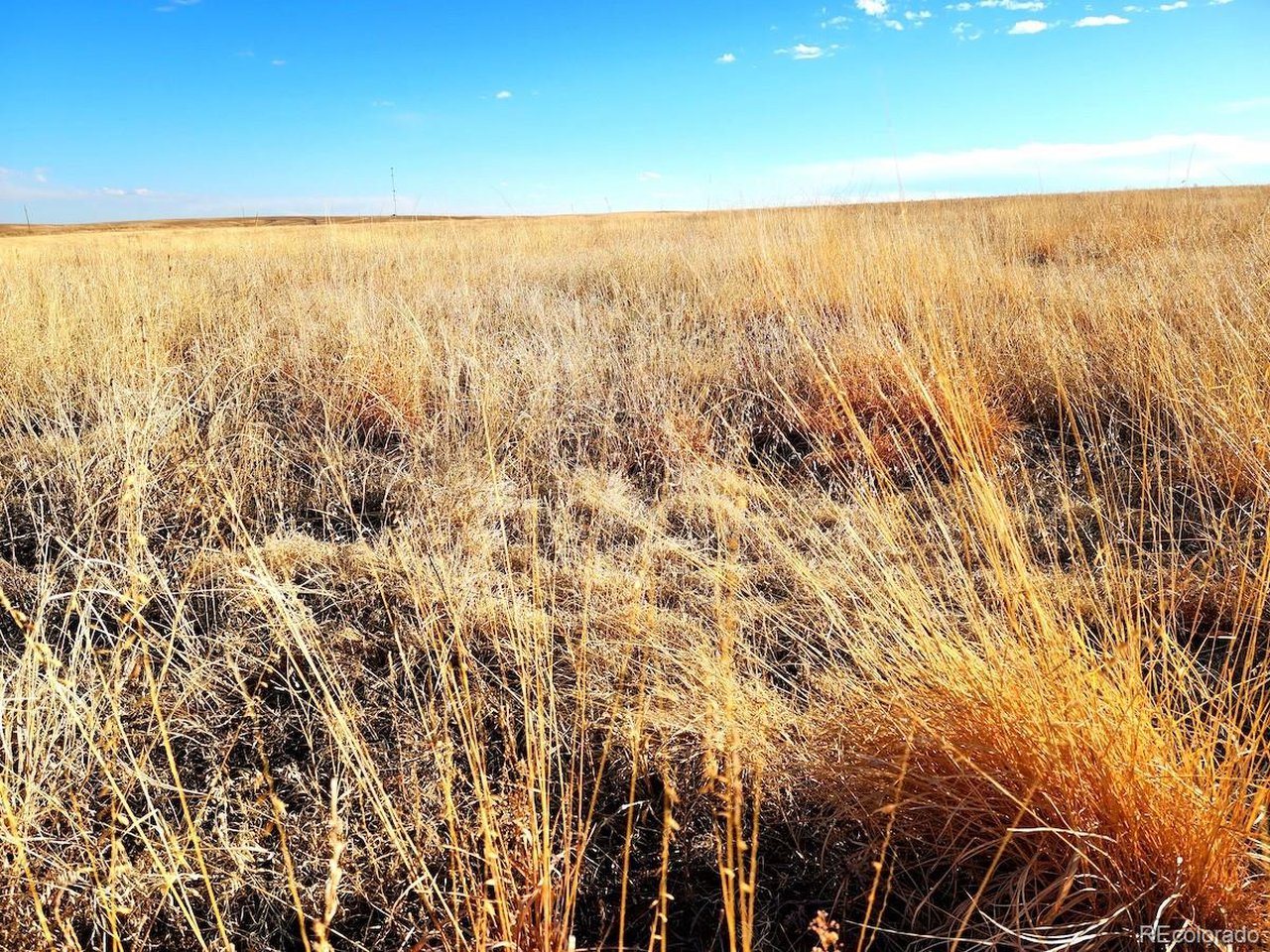 Prospect Way Road Byers, CO 80103 - Photo 13 of 19 a view of an ocean
