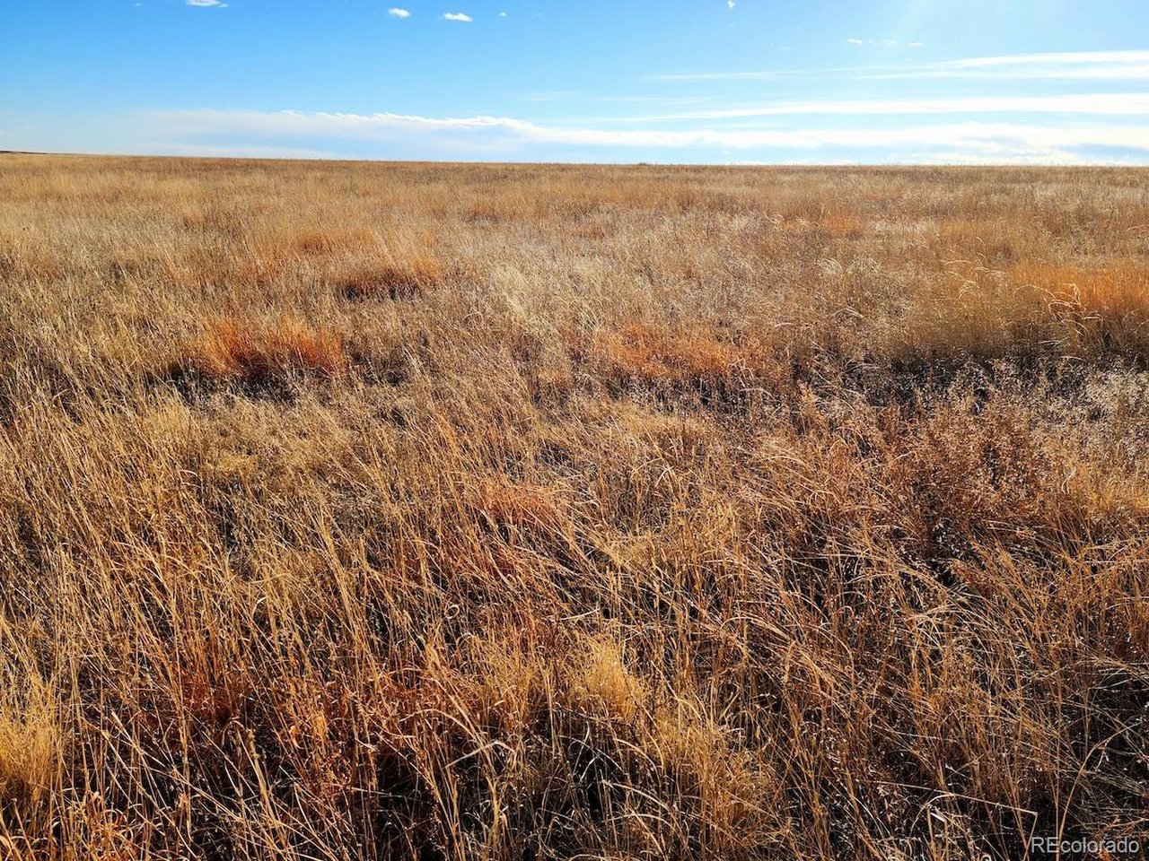 Prospect Way Road Byers, CO 80103 - Photo 14 of 19 a view of an ocean