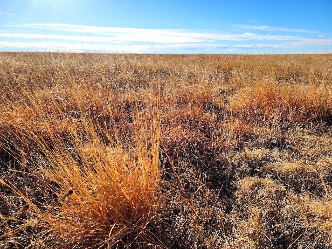 Prospect Way Road Byers, CO 80103 - Photo 4 of 19 a view of an ocean