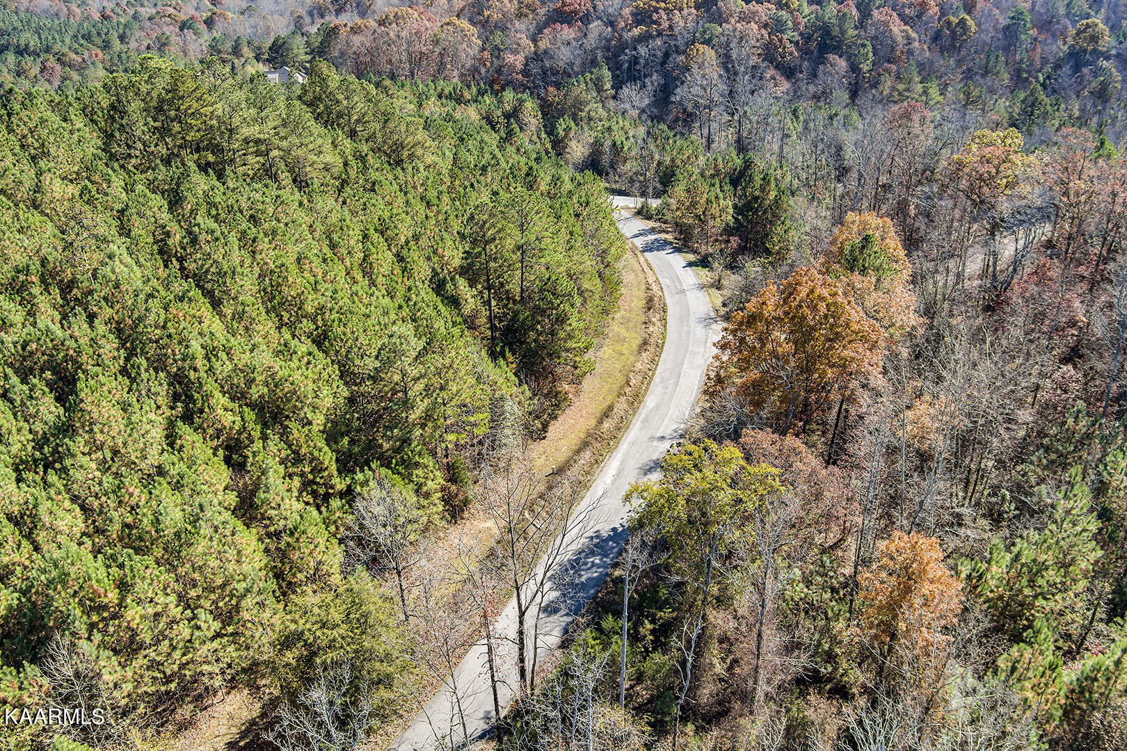 14531457 Sloans Gap Road Ocoee, TN 37361 - Photo 4 of 50