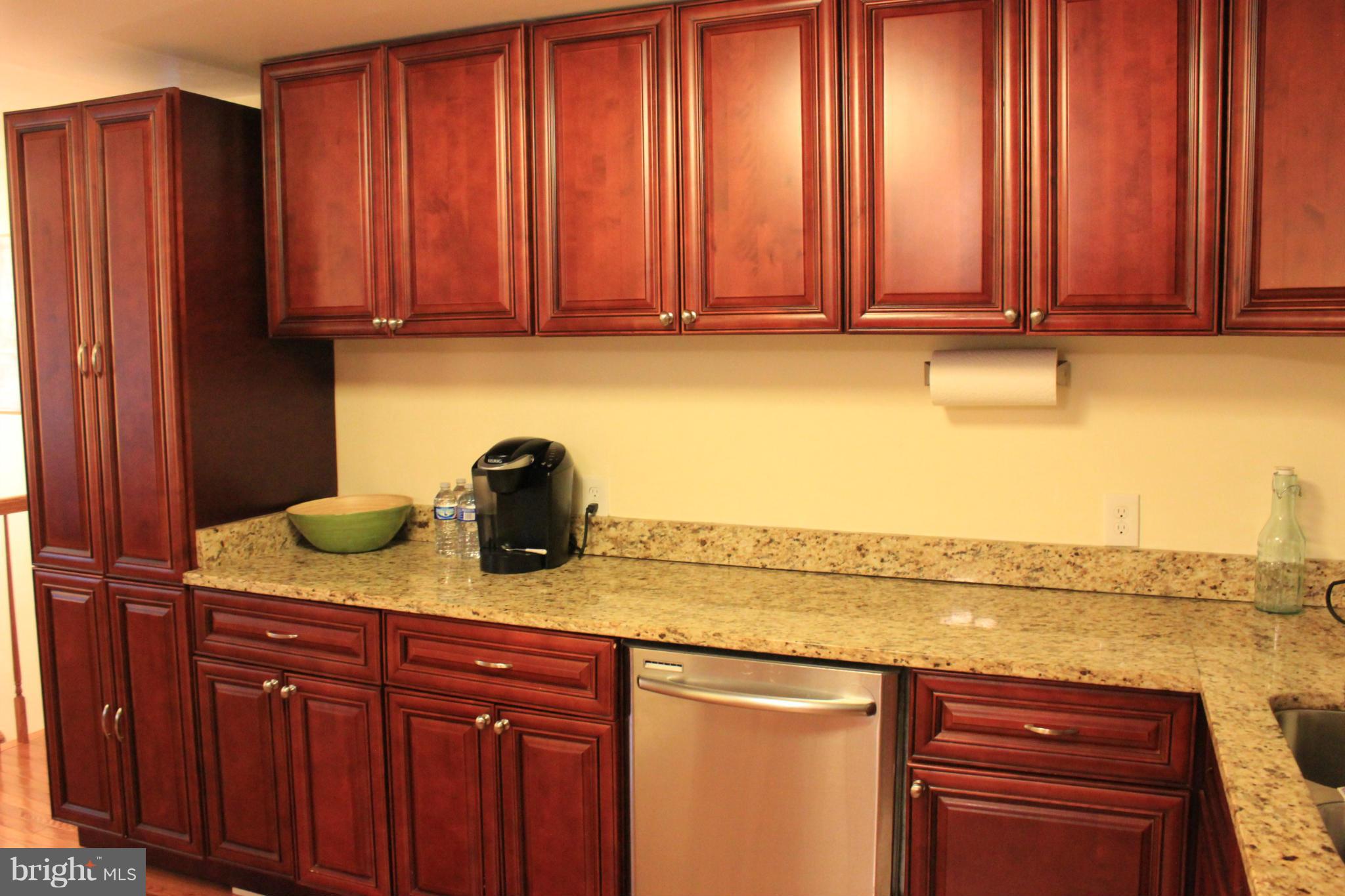 11602 Jester Way Dunkirk, MD 20754 - Photo 9 of 23 a kitchen with stainless steel appliances granite countertop a sink dishwasher stove and cabinets
