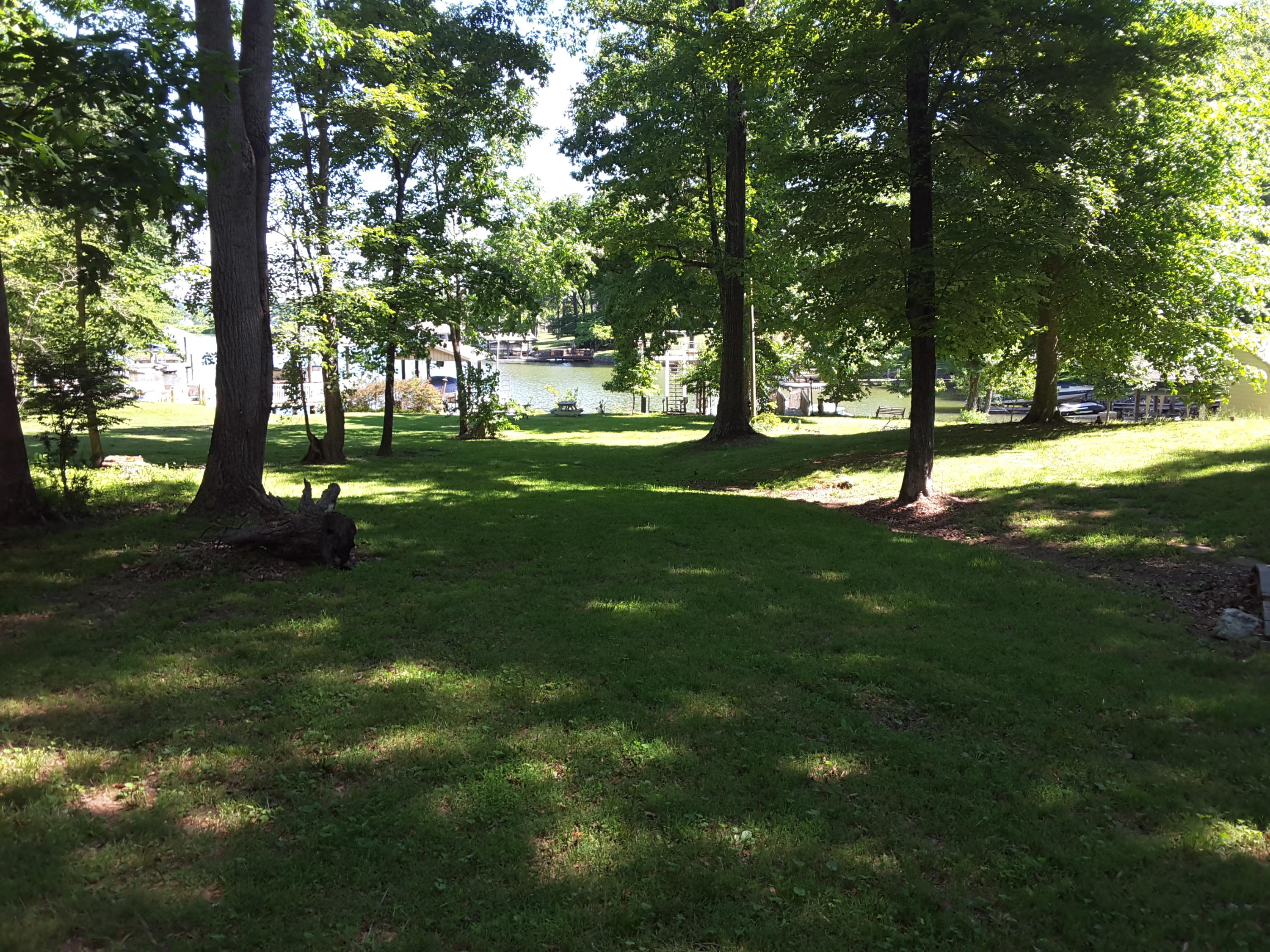 645 Highland Lake Road Union Hall, VA 24176 - Photo 4 of 14 a backyard of a house with lots of green space