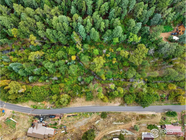a view of a yard with plants