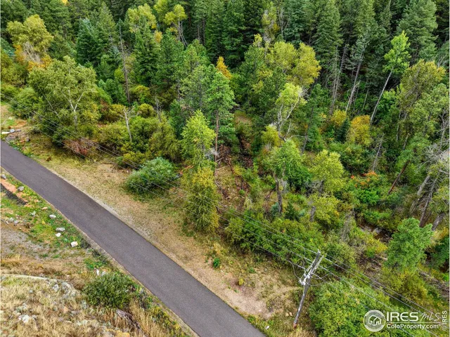 a view of a garden with a bench