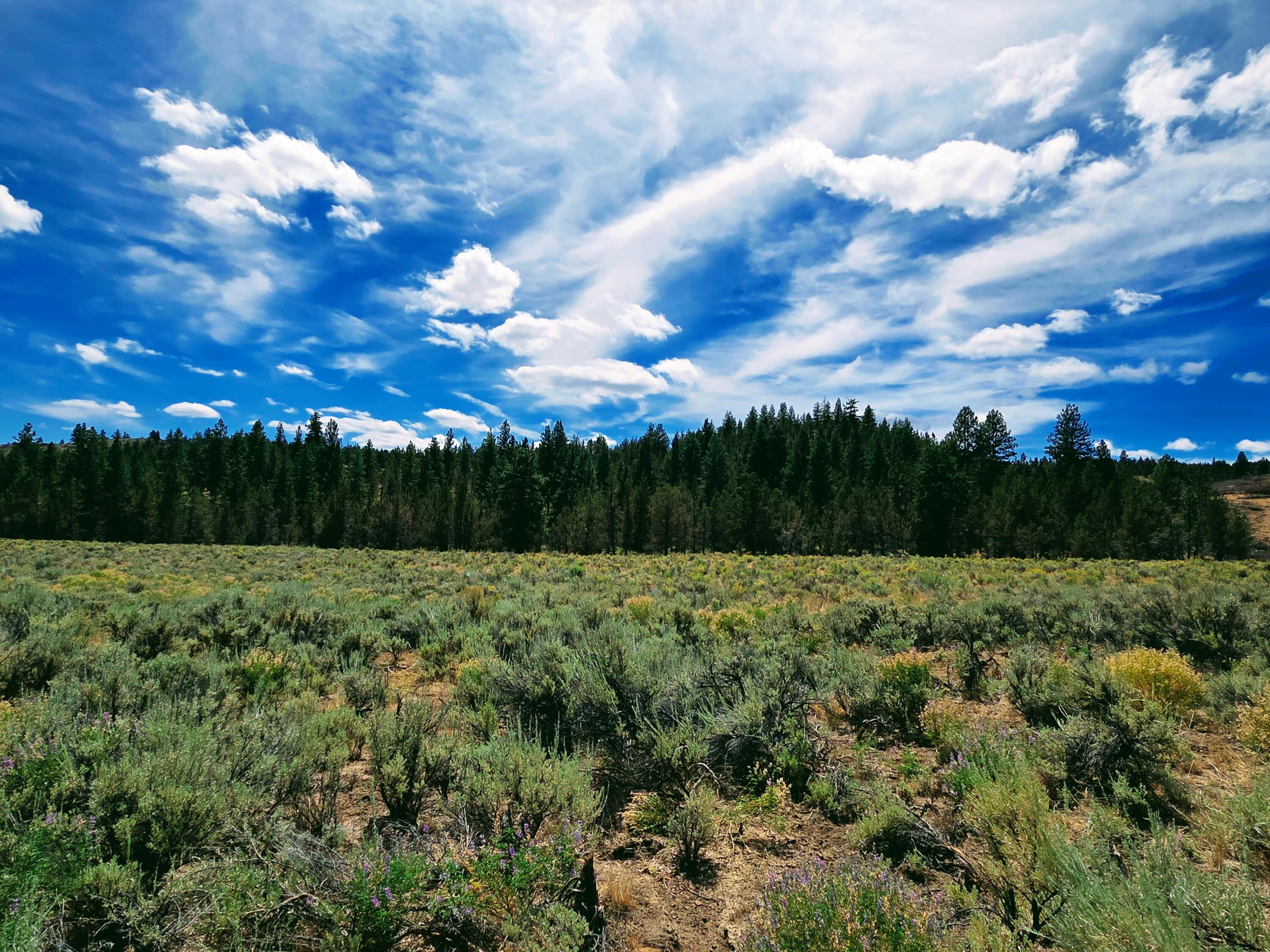 32500 Tackman Road Prineville, OR 97754 - Photo 79 of 112