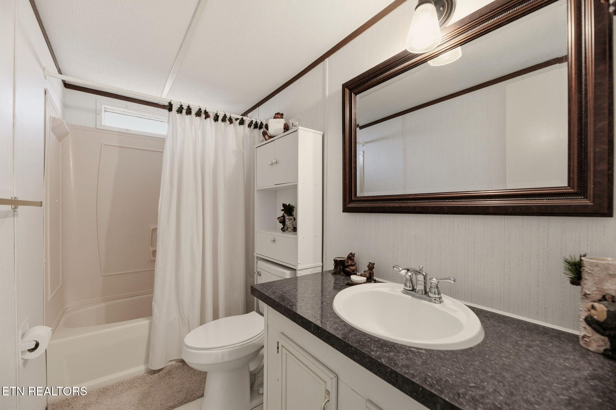 2459 Black Oak Ridge Road Sevierville, TN 37876 - Photo 20 of 47 20-web-or-mls-BlckOkRdg2459 (44)