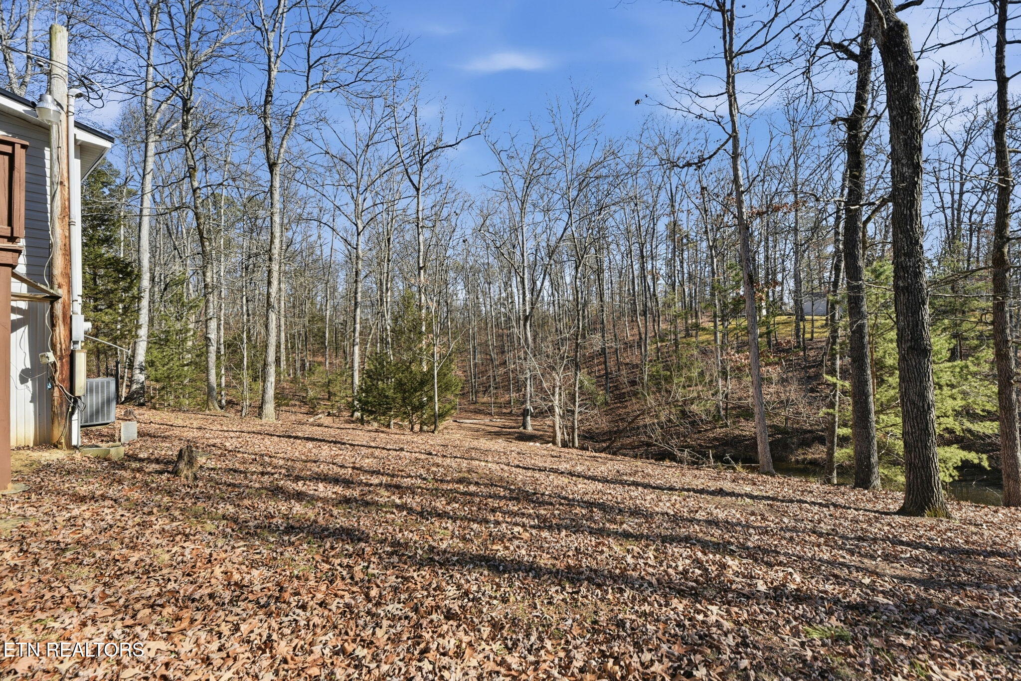 2459 Black Oak Ridge Road Sevierville, TN 37876 - Photo 23 of 47 23-web-or-mls-BlckOkRdg2459 (68)