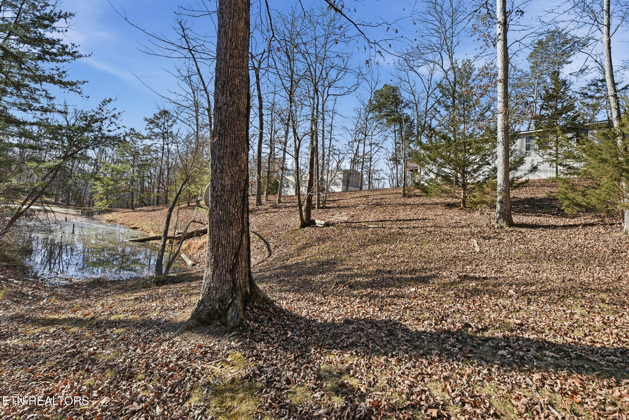 2459 Black Oak Ridge Road Sevierville, TN 37876 - Photo 25 of 47 25-web-or-mls-BlckOkRdg2459 (74)
