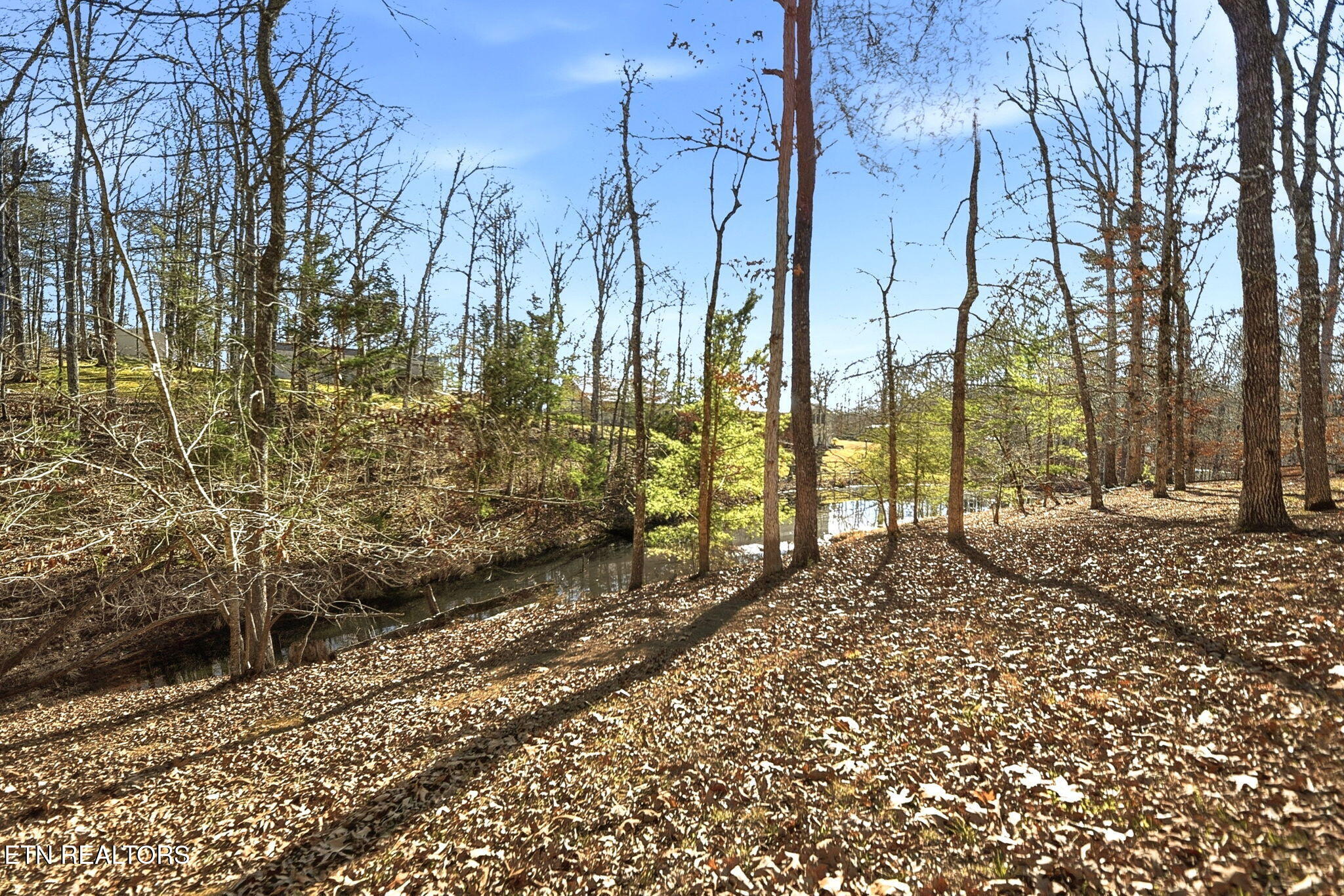 2459 Black Oak Ridge Road Sevierville, TN 37876 - Photo 26 of 47 26-web-or-mls-e94e70d2-ccf9-4c98-897d-a6