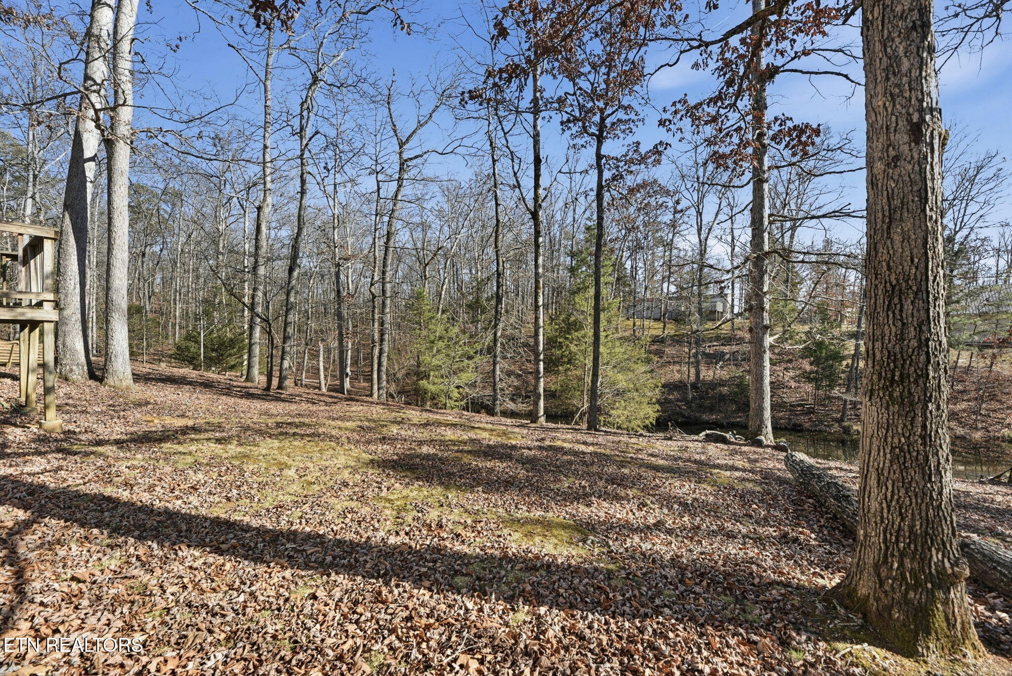 2459 Black Oak Ridge Road Sevierville, TN 37876 - Photo 44 of 47 45-web-or-mls-BlckOkRdg2459 (83)