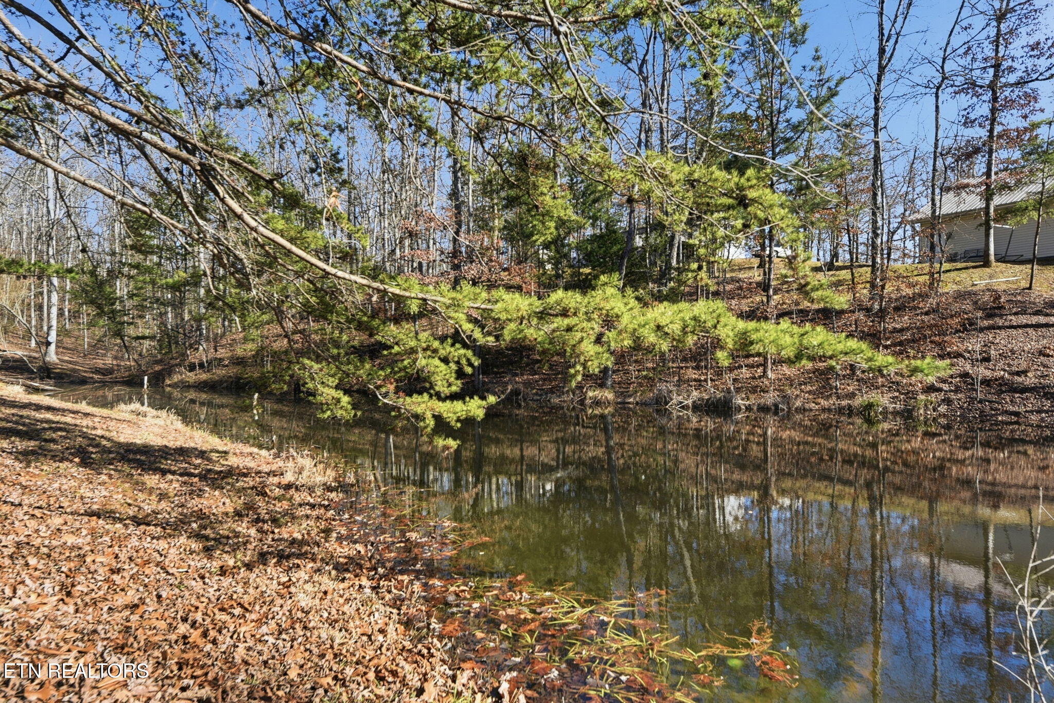 2459 Black Oak Ridge Road Sevierville, TN 37876 - Photo 46 of 47 47-web-or-mls-BlckOkRdg2459 (89)