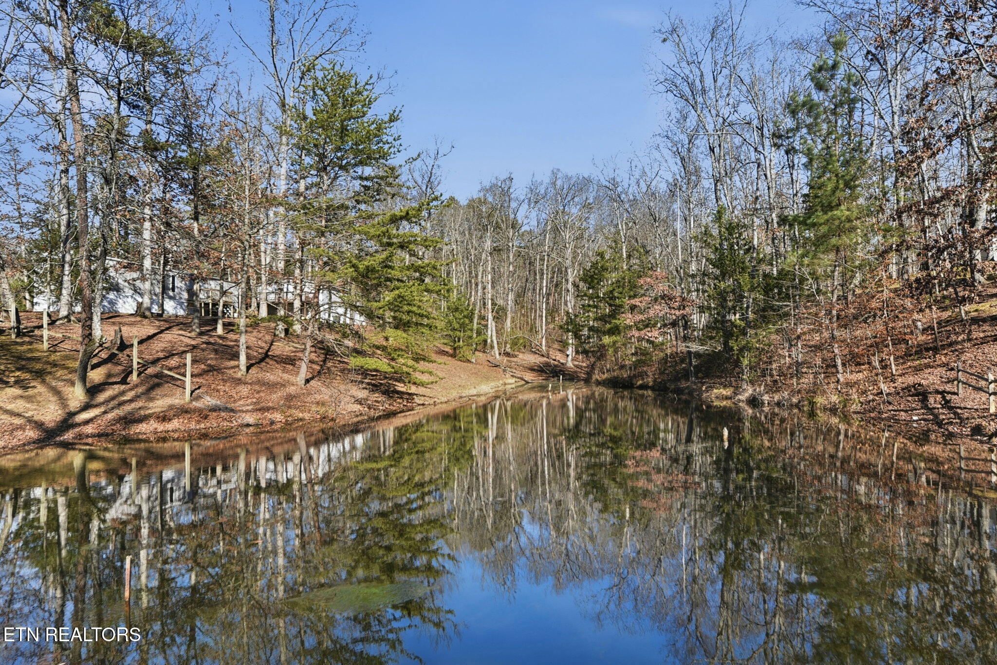 2459 Black Oak Ridge Road Sevierville, TN 37876 - Photo 47 of 47 48-web-or-mls-BlckOkRdg2459 (92)