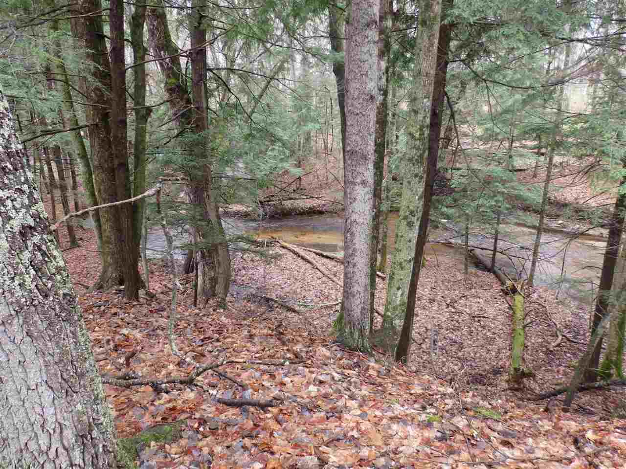 Oravainen Road, Unit PARCEL B Kaleva, MI 49645 - Photo 4 of 25