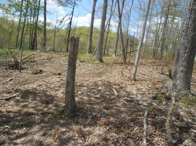 3758 East Fork Road Means, KY 40346 - Photo 22 of 30 Photo 22
