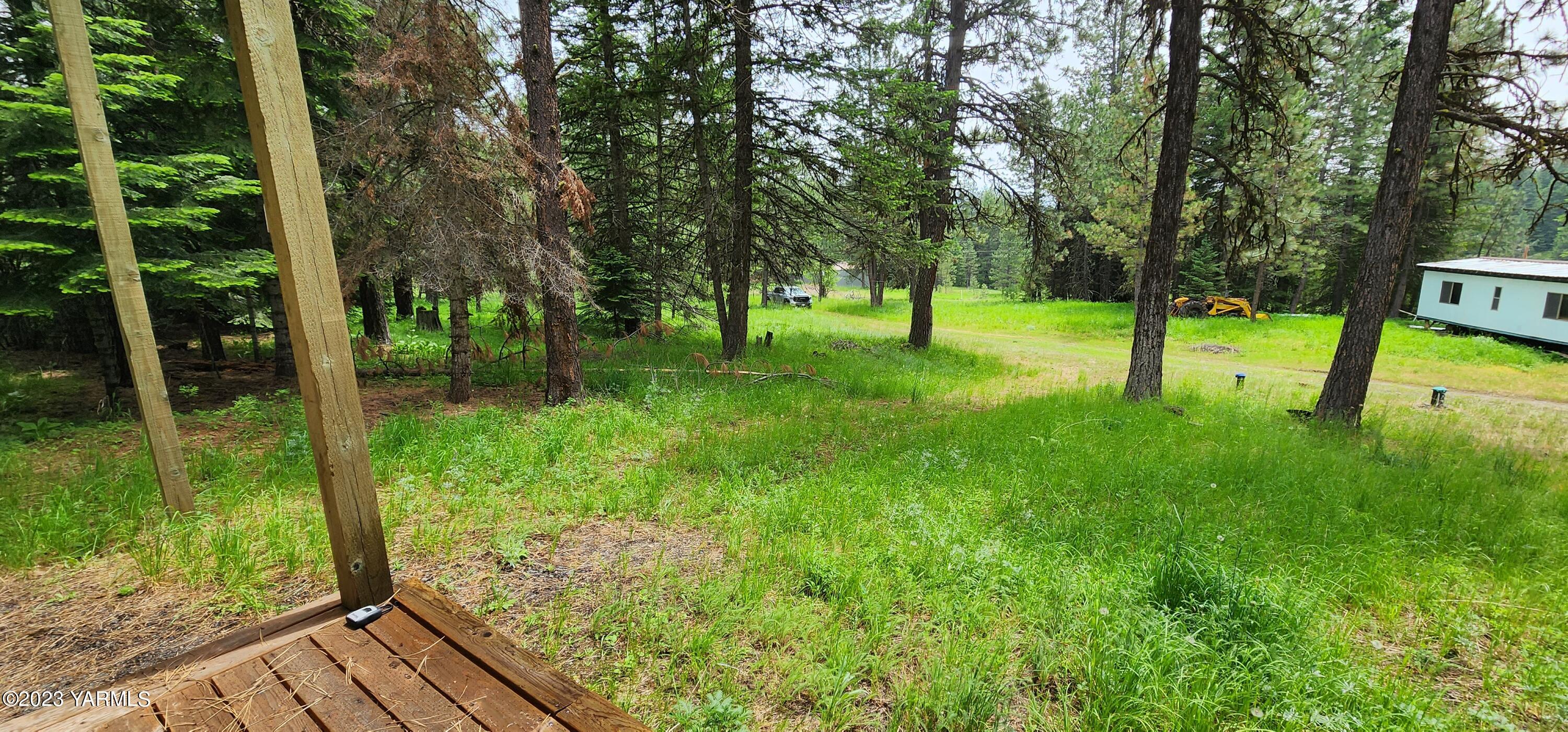 384 Cody Road Anatone, WA 99401 - Photo 11 of 33 a view of a backyard with large trees