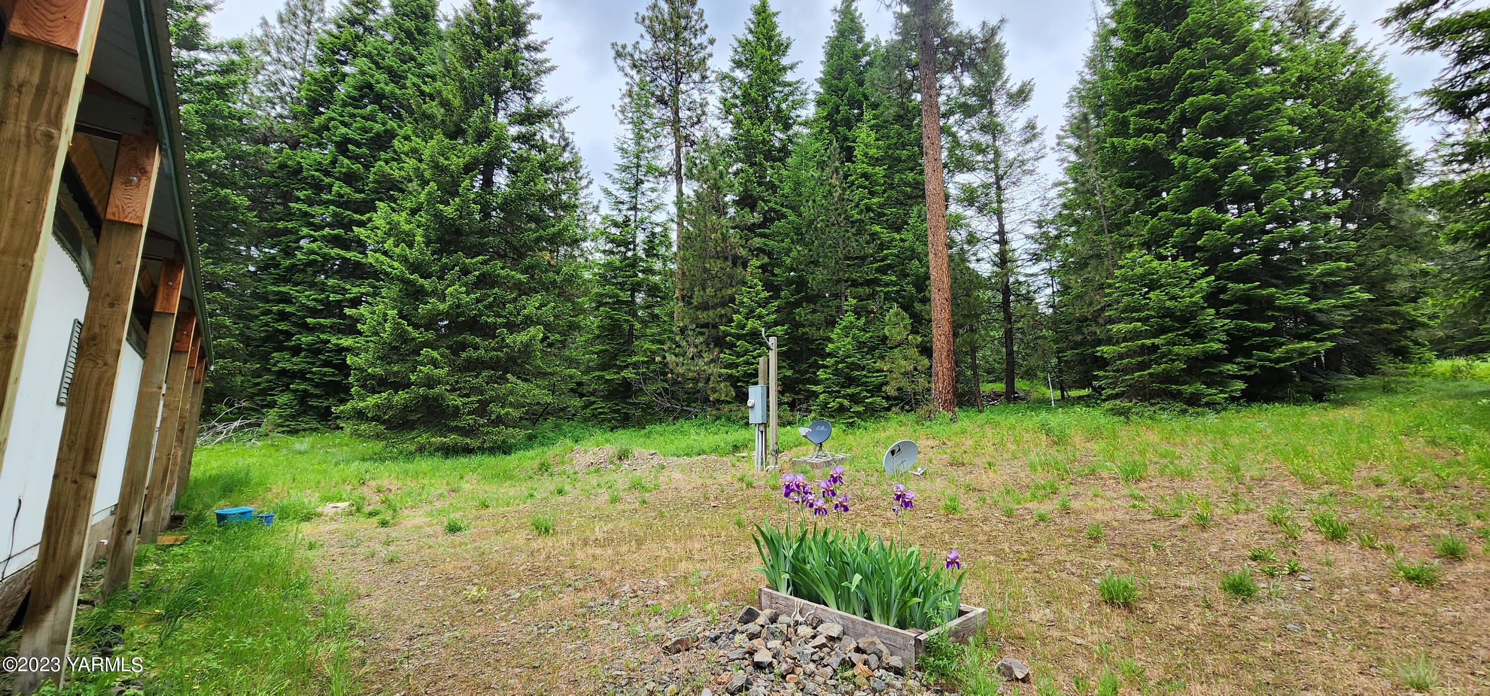 384 Cody Road Anatone, WA 99401 - Photo 19 of 33 a view of a garden with plants and large trees