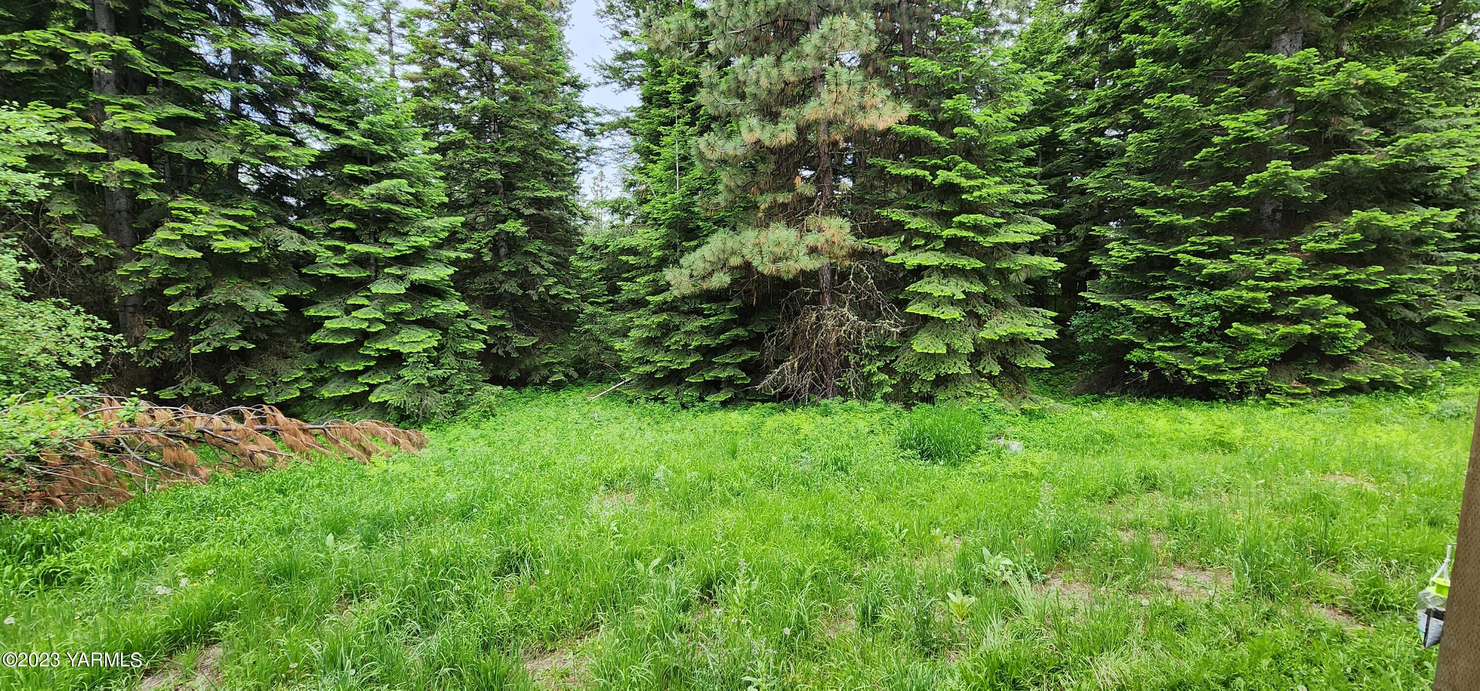 384 Cody Road Anatone, WA 99401 - Photo 23 of 33 a view of a yard