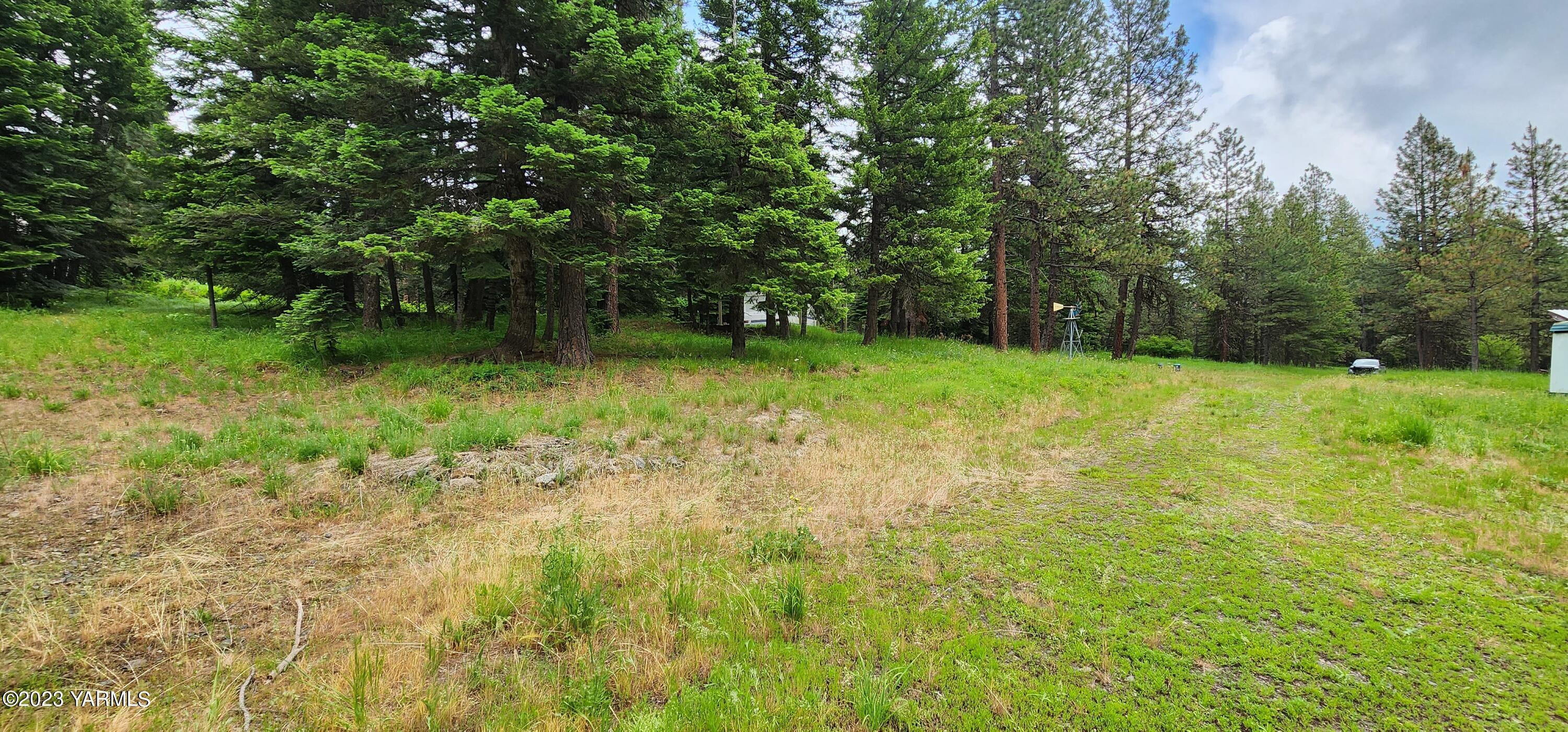 384 Cody Road Anatone, WA 99401 - Photo 24 of 33 a view of backyard with green space